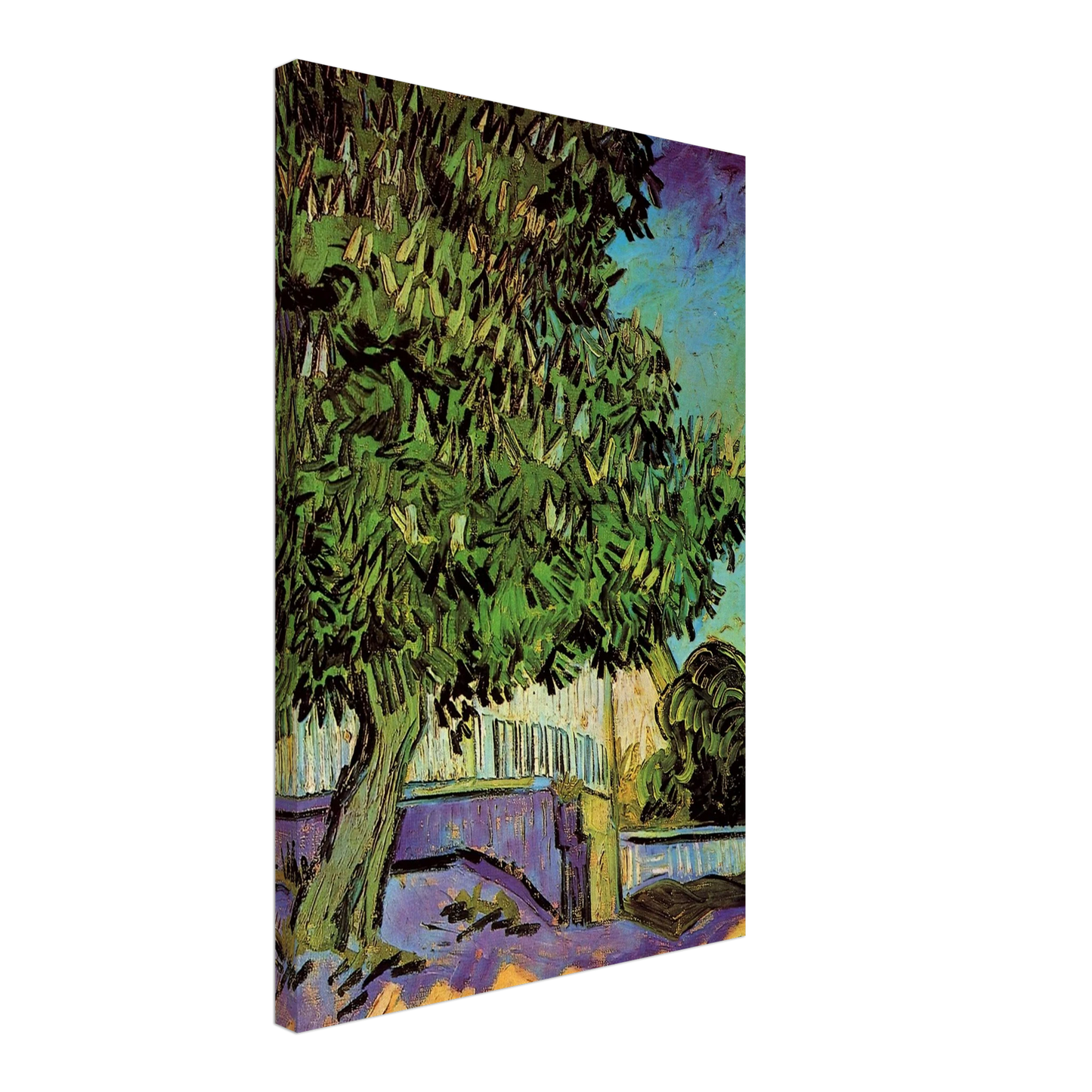 Vincent van Gogh - Chestnut Tree in Blossom Canvas - 40x60 cm / 16x24 inches-canvas