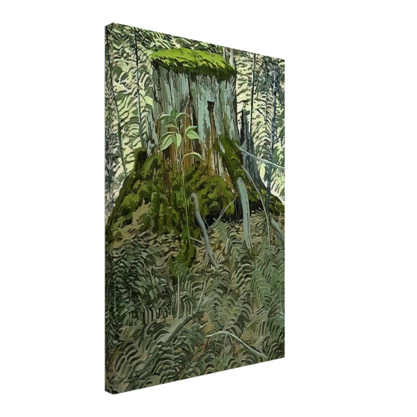 Neil Welliver - Stump and Ferns - Contemporary Realism Canvas - 40x60 cm / 16x24 inches-canvas