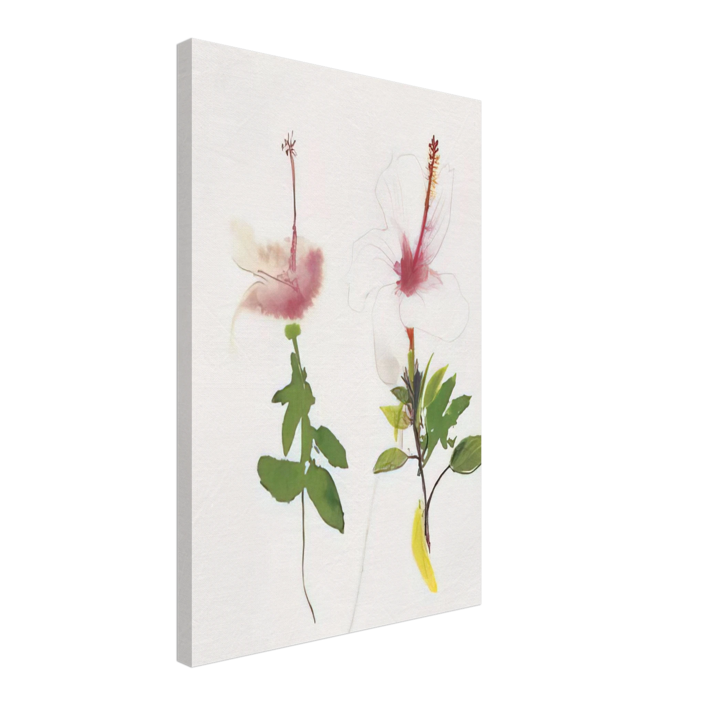 Brett Whiteley - Hibiscus - 1987 Canvas - 40x60 cm / 16x24 inches-canvas