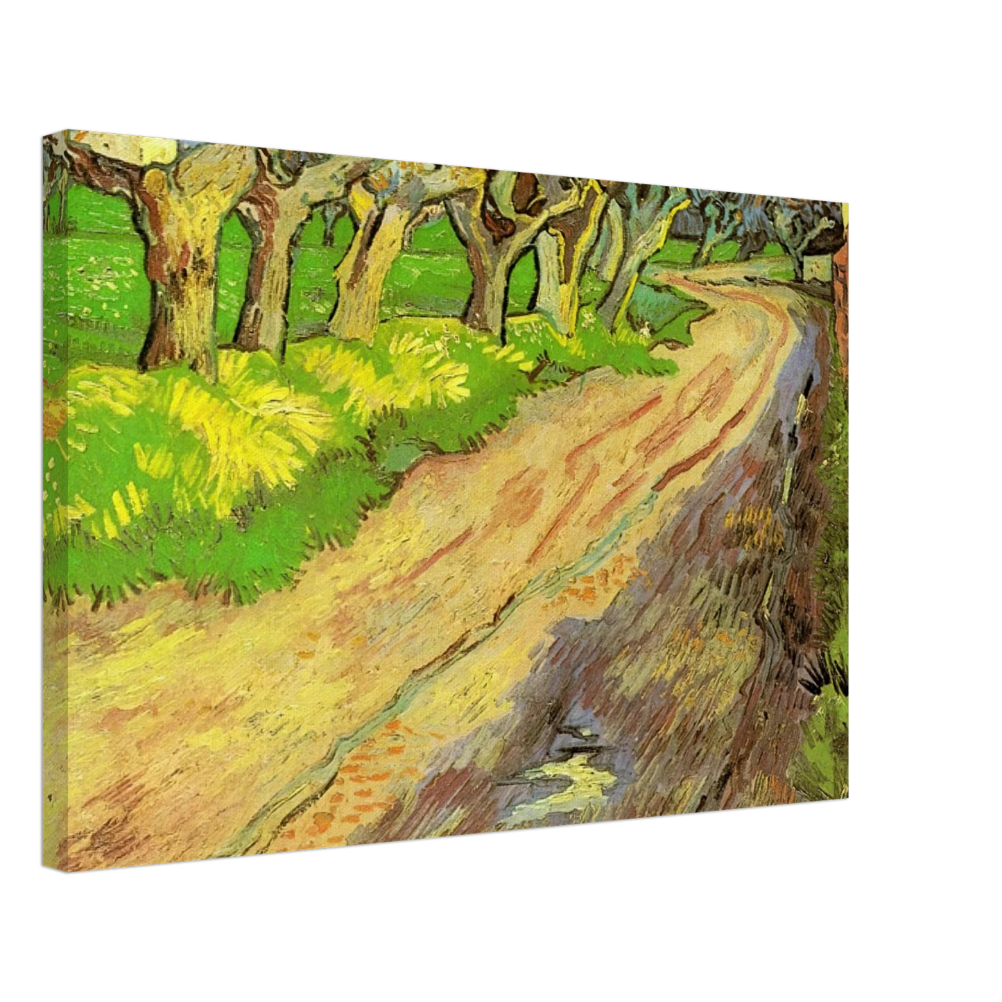 Vincent van Gogh - Pollard Willows Canvas - 40x60 cm / 16x24 inches-canvas