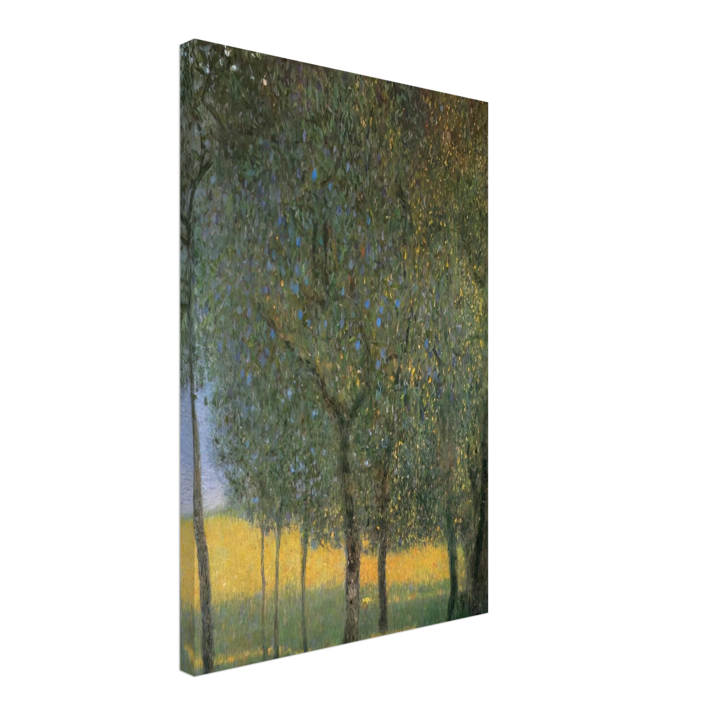 Gustav Klimt - FRUIT TREES 1901 Canvas - 40x60 cm / 16x24 inches-canvas
