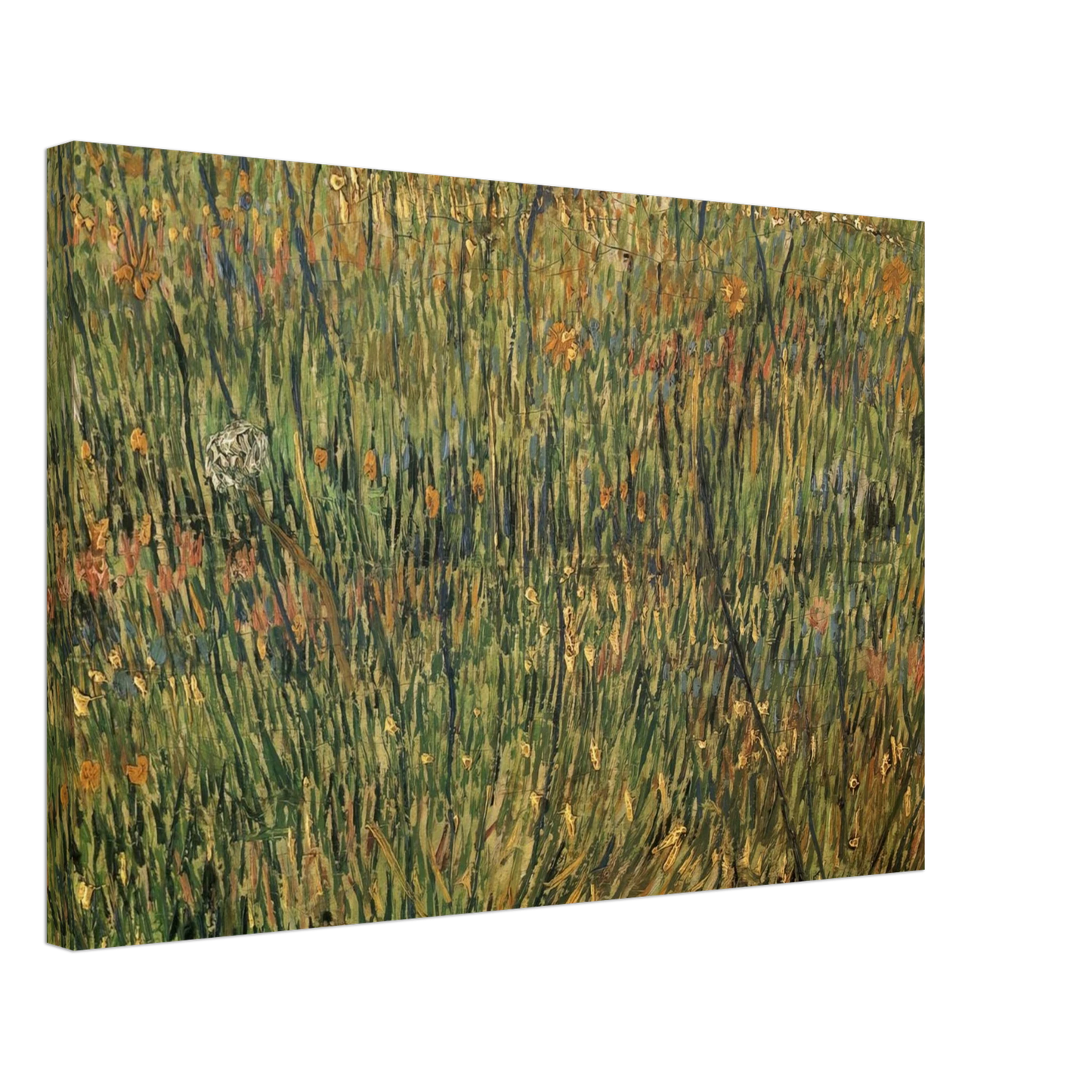 Vincent van Gogh - Pasture in Bloom Canvas - 70x100 cm / 28x40 inches-canvas