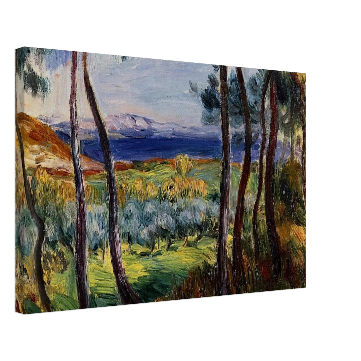 Pierre-Auguste Renoir - Pines in the Vicinity of Cagnes Canvas - 70x100 cm / 28x40 inches-canvas