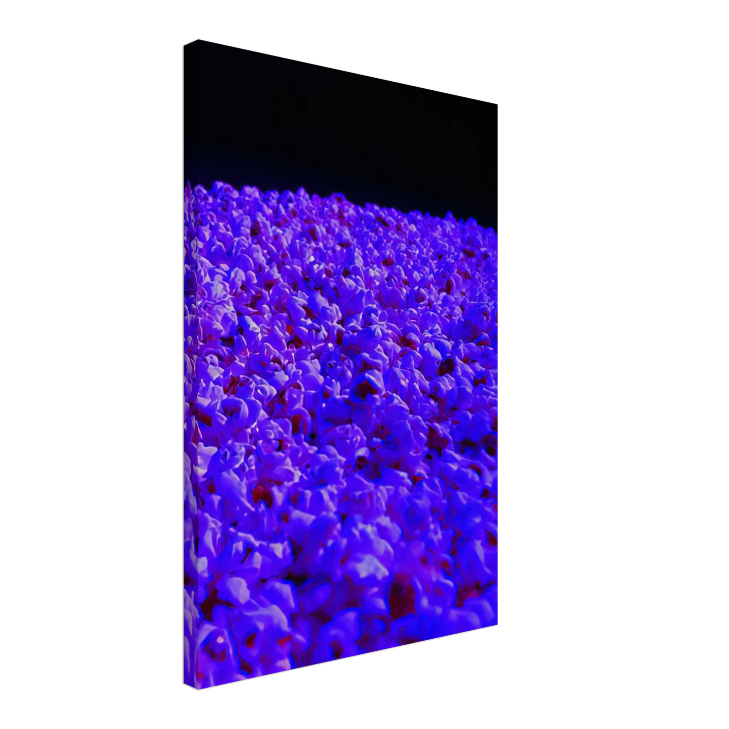 Lygia Pape - Moon Light - 1995 Canvas - 40x60 cm / 16x24 inches-canvas