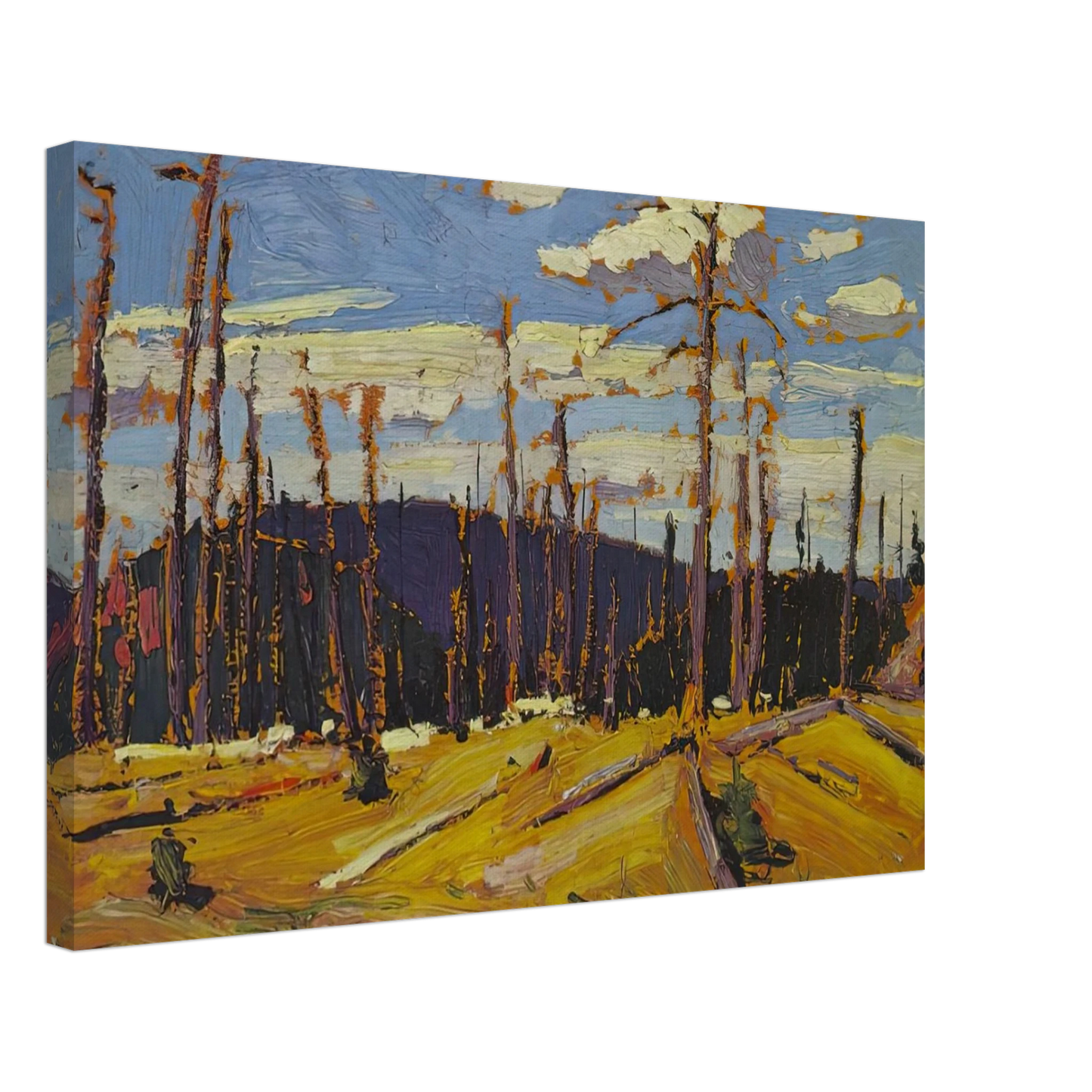 Tom Thomson - BURNT OVER FOREST 1916 Canvas - 70x100 cm / 28x40 inches-canvas