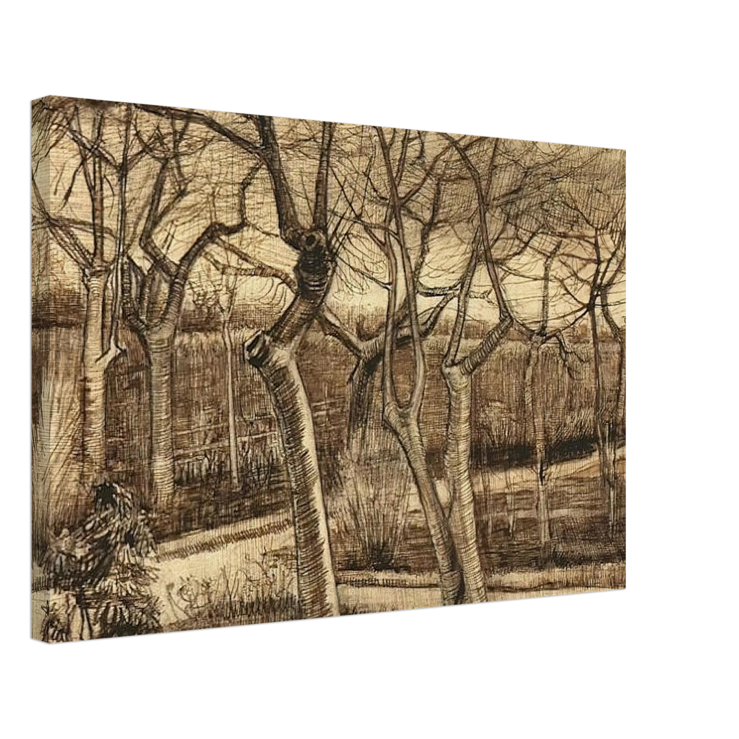Vincent van Gogh - The Vicarage Garden Canvas - 70x100 cm / 28x40 inches-canvas