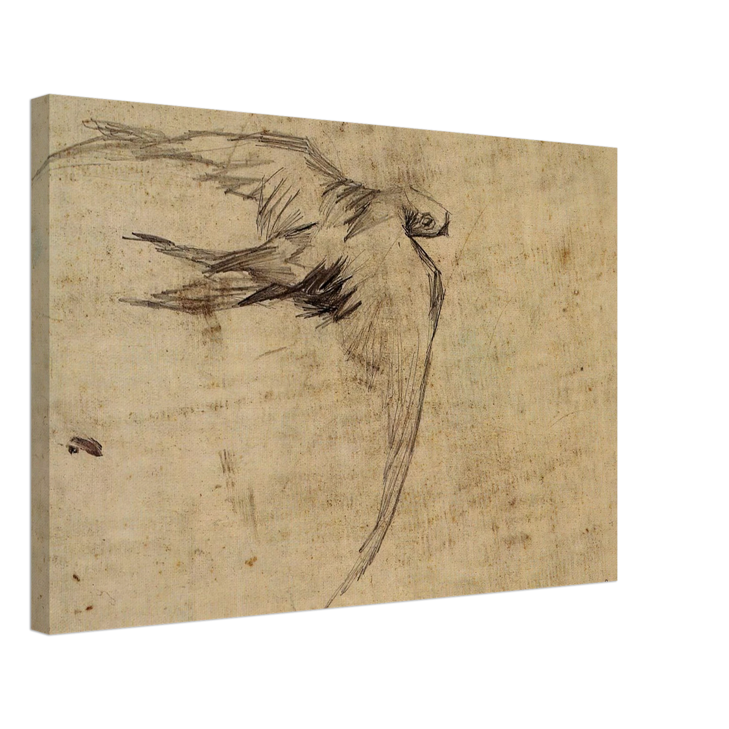 Vincent van Gogh - Swift Canvas - 70x100 cm / 28x40 inches-canvas