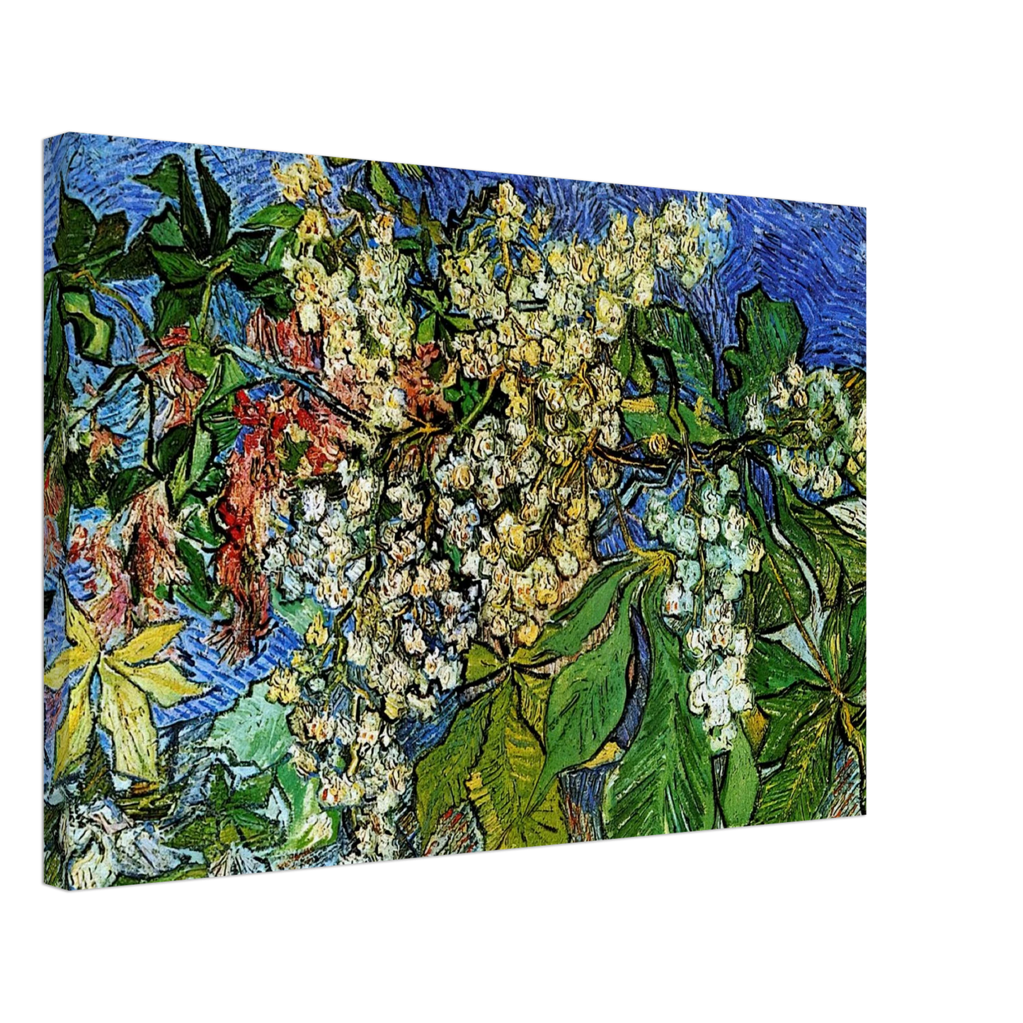 Vincent van Gogh - Blossoming Chestnut Branches Canvas - 70x100 cm / 28x40 inches-canvas