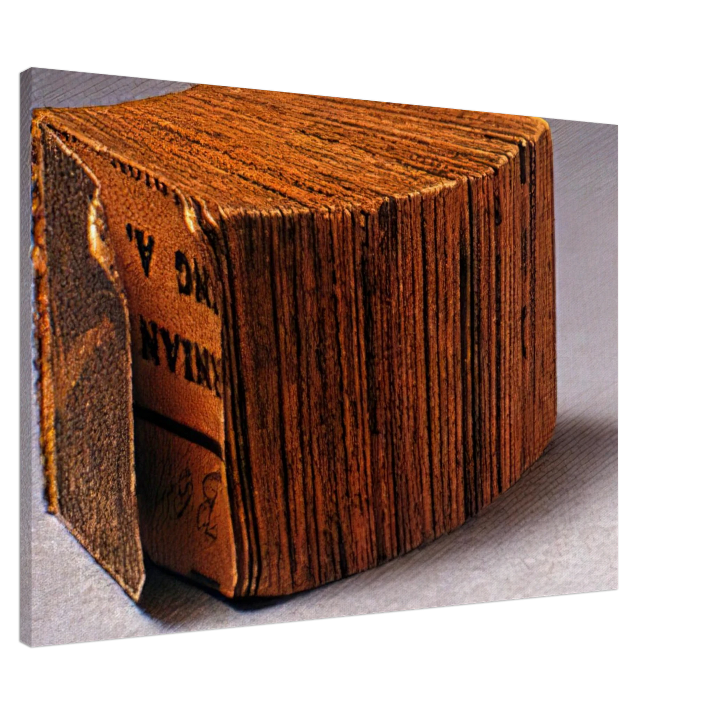 Dieter Roth - Daily Mirror - 1961 Canvas - Default Title-canvas