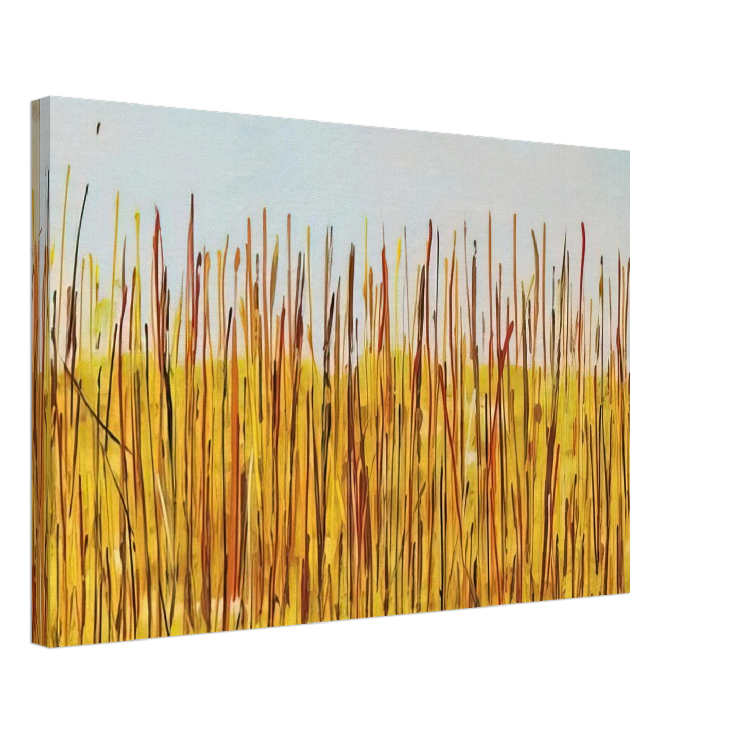 Mario Schifano - Campo di grano - 1984 Canvas - 70x100 cm / 28x40 inches-canvas