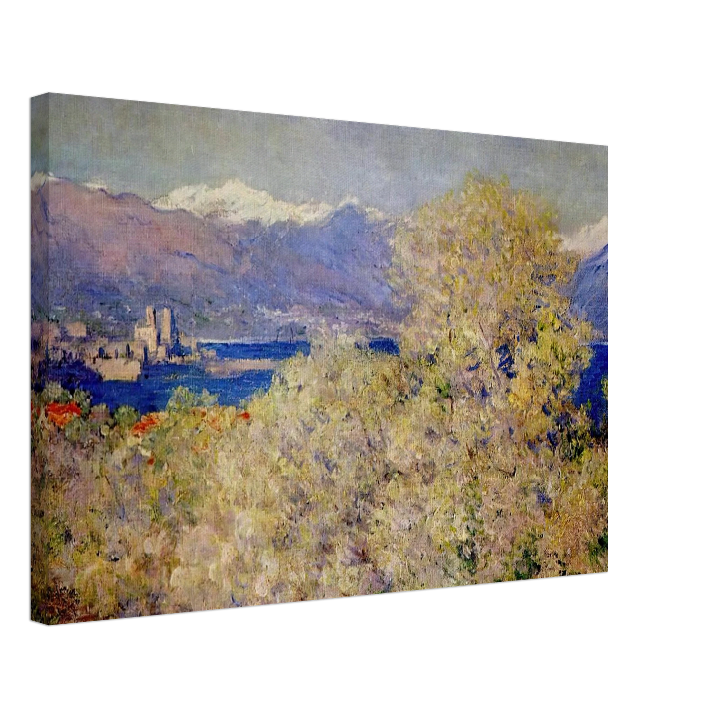claude monet - Antibes - View of the Salis Gardens Canvas - 70x100 cm / 28x40 inches-canvas