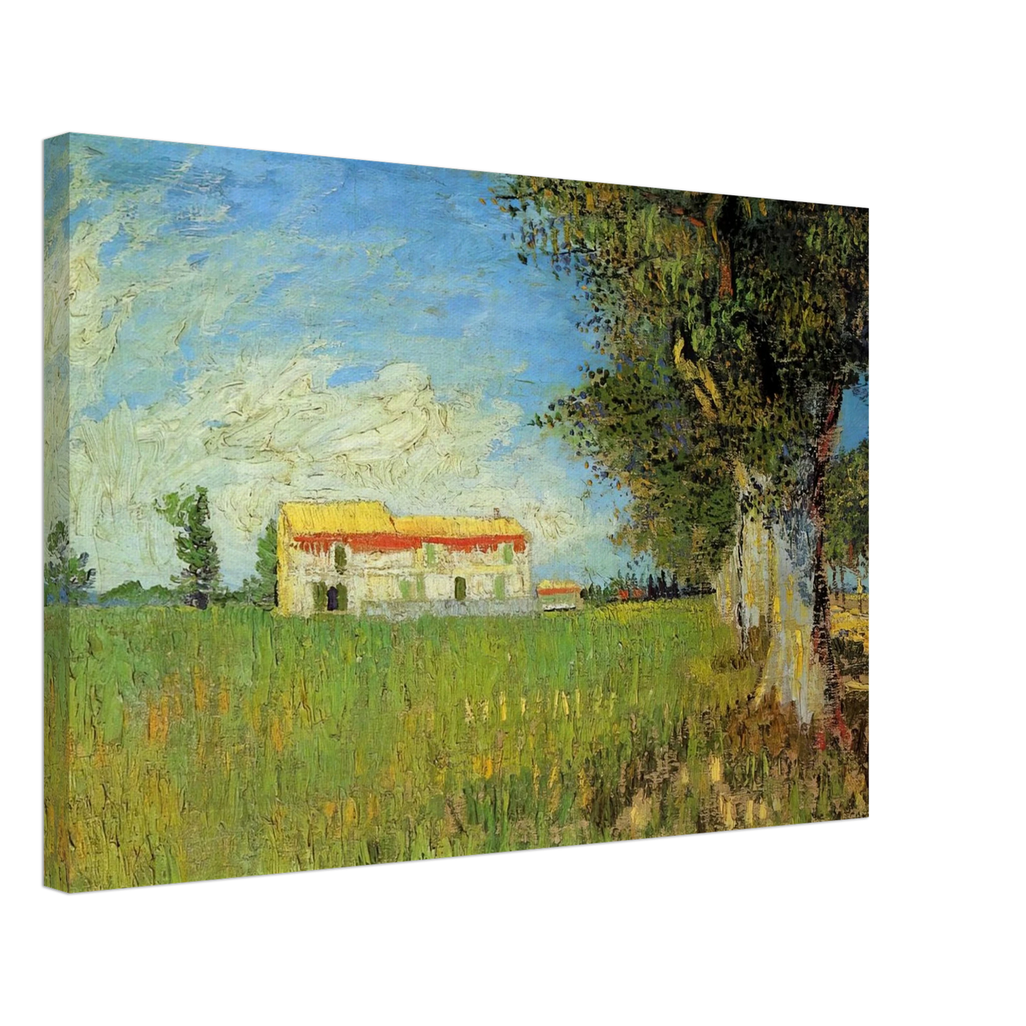 Vincent van Gogh - Farmhouse in a Wheat Field Canvas - 70x100 cm / 28x40 inches-canvas