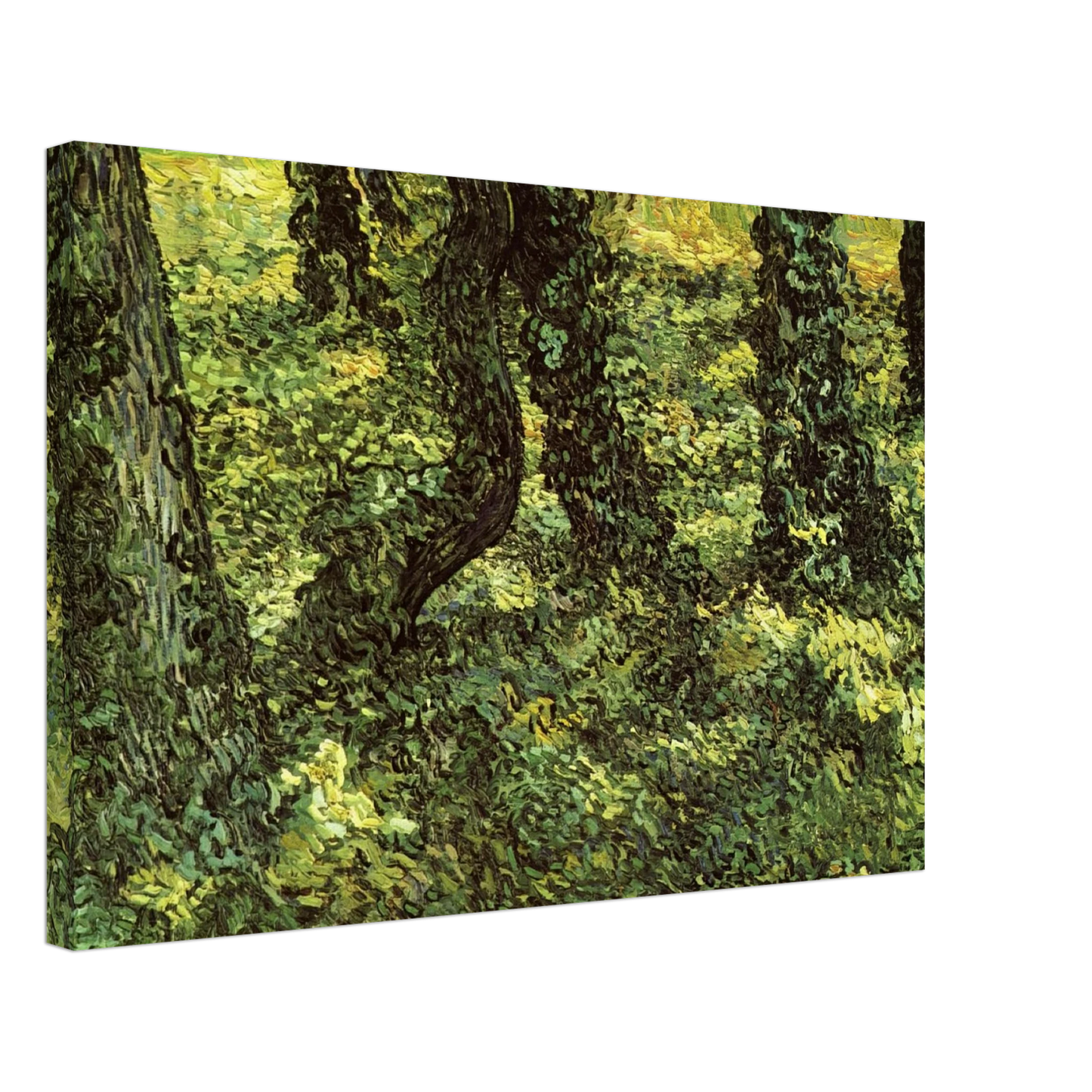 Vincent van Gogh - Trunks of Trees with Ivy Canvas - 70x100 cm / 28x40 inches-canvas