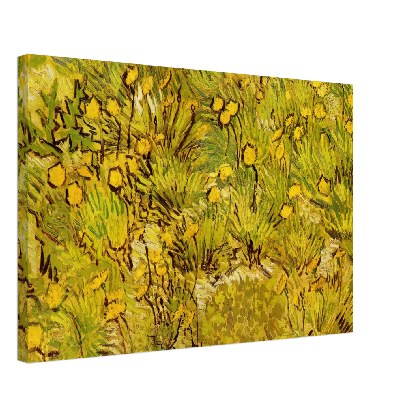 Vincent van Gogh - A Field of Yellow Flowers Canvas - 40x60 cm / 16x24 inches-canvas