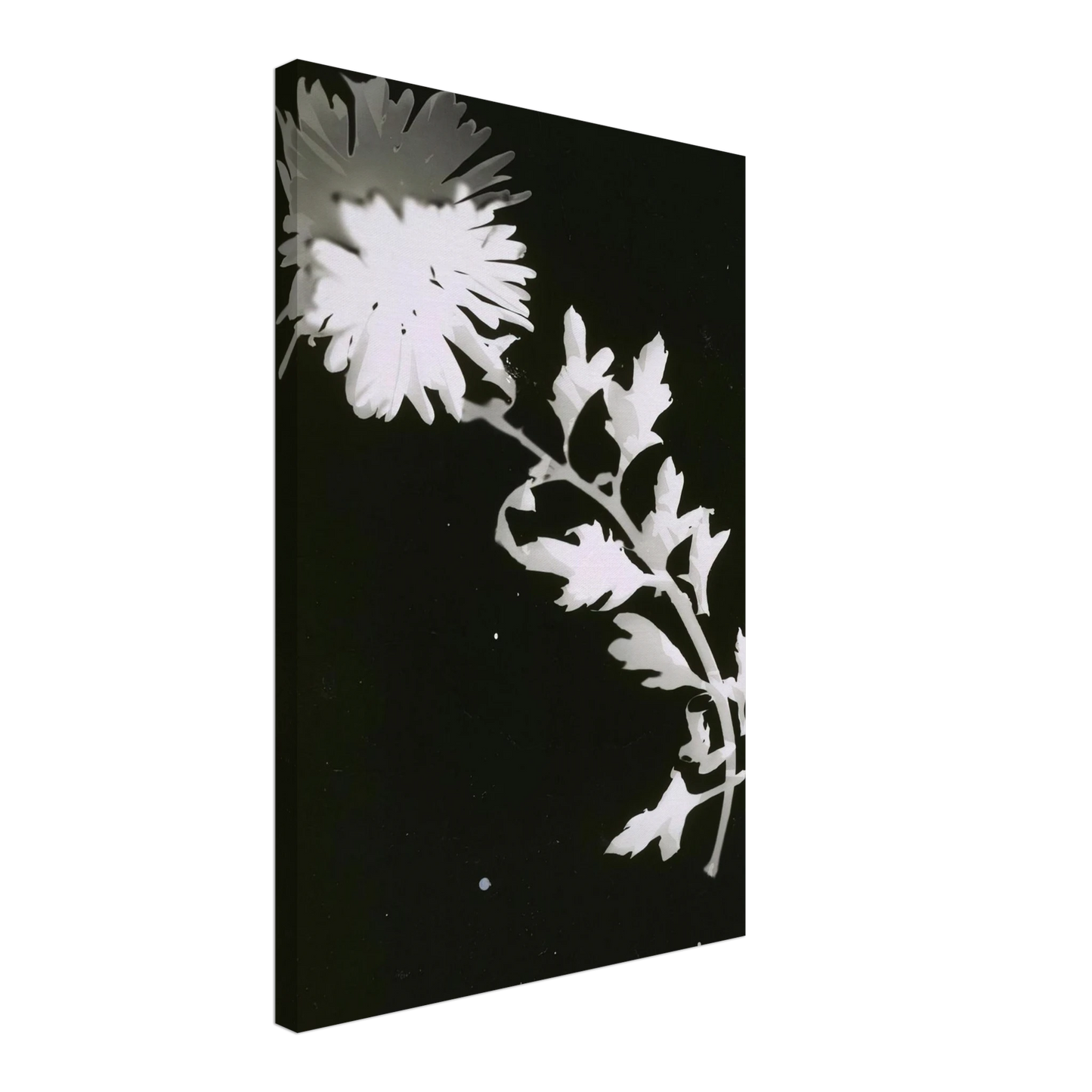 Laszlo Moholy-Nagy - Flower Canvas - 70x100 cm / 28x40 inches-canvas