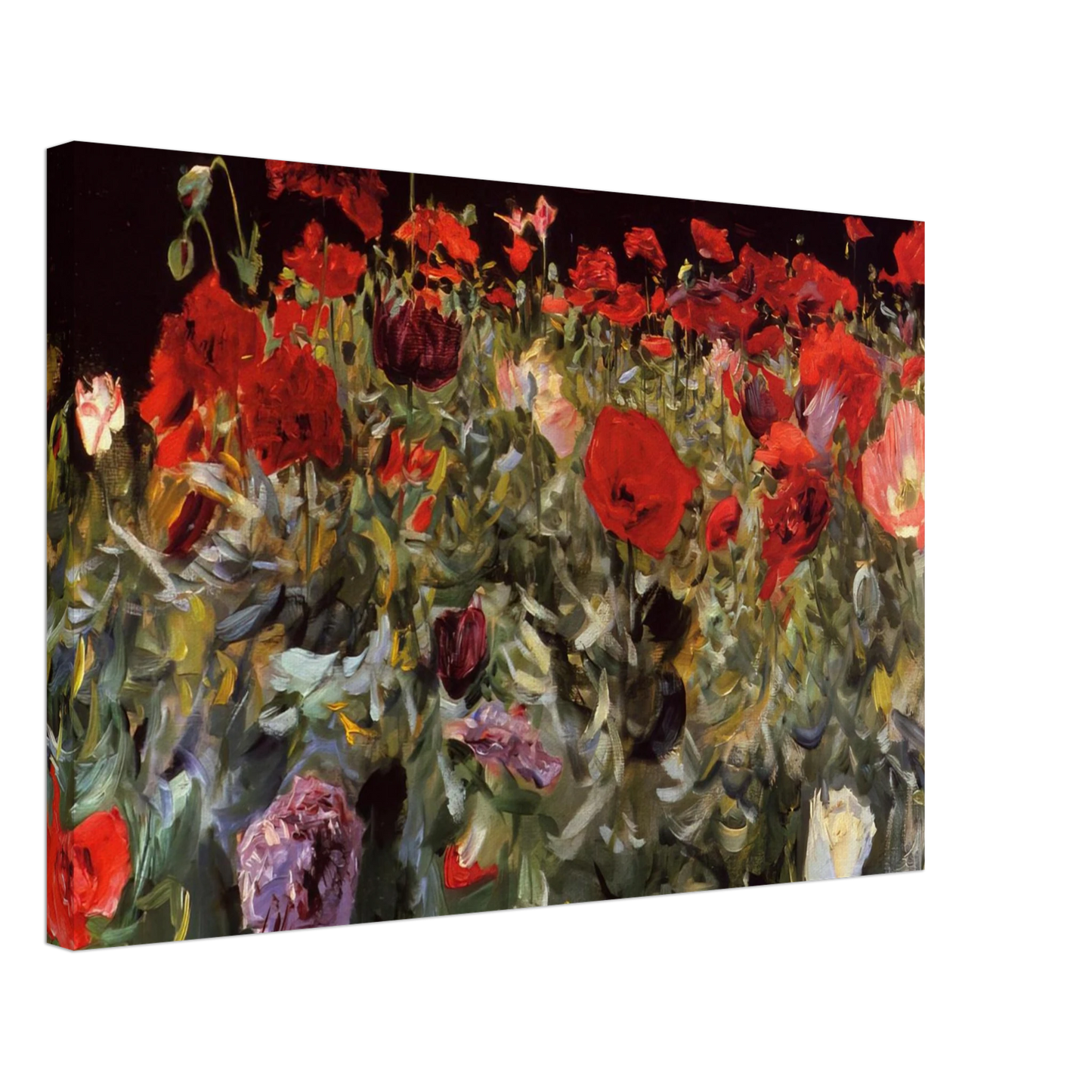 John Singer Sargent - Poppies Canvas - 70x100 cm / 28x40 inches-canvas