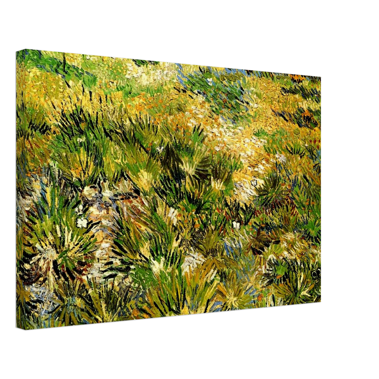 Vincent van Gogh - Meadow in the Garden of Saint-Paul Hospital Canvas - 40x60 cm / 16x24 inches-canvas