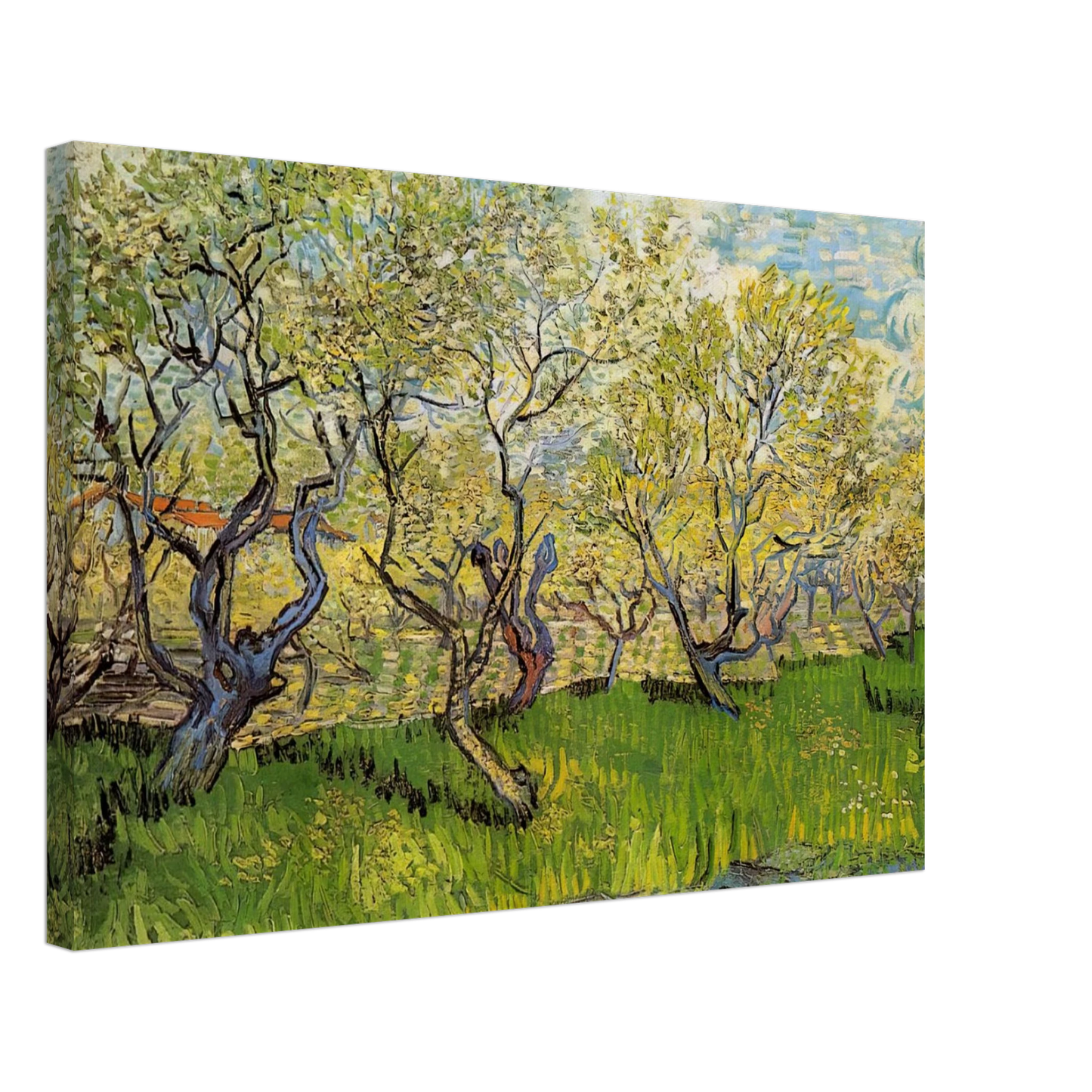 Vincent van Gogh - Orchard in Blossom Canvas - 70x100 cm / 28x40 inches-canvas