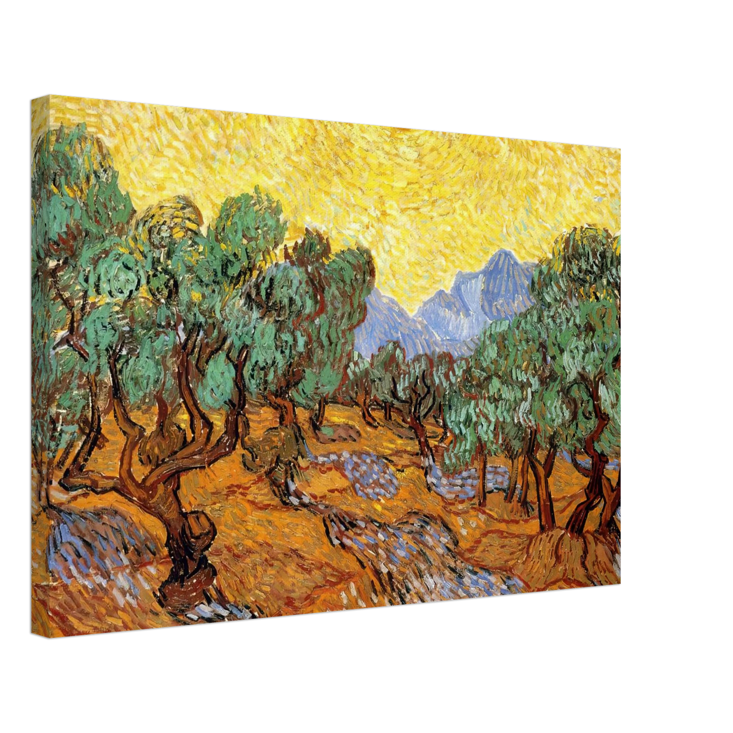 Vincent van Gogh - Olive Trees with Yellow Sky and Sun Canvas - 70x100 cm / 28x40 inches-canvas
