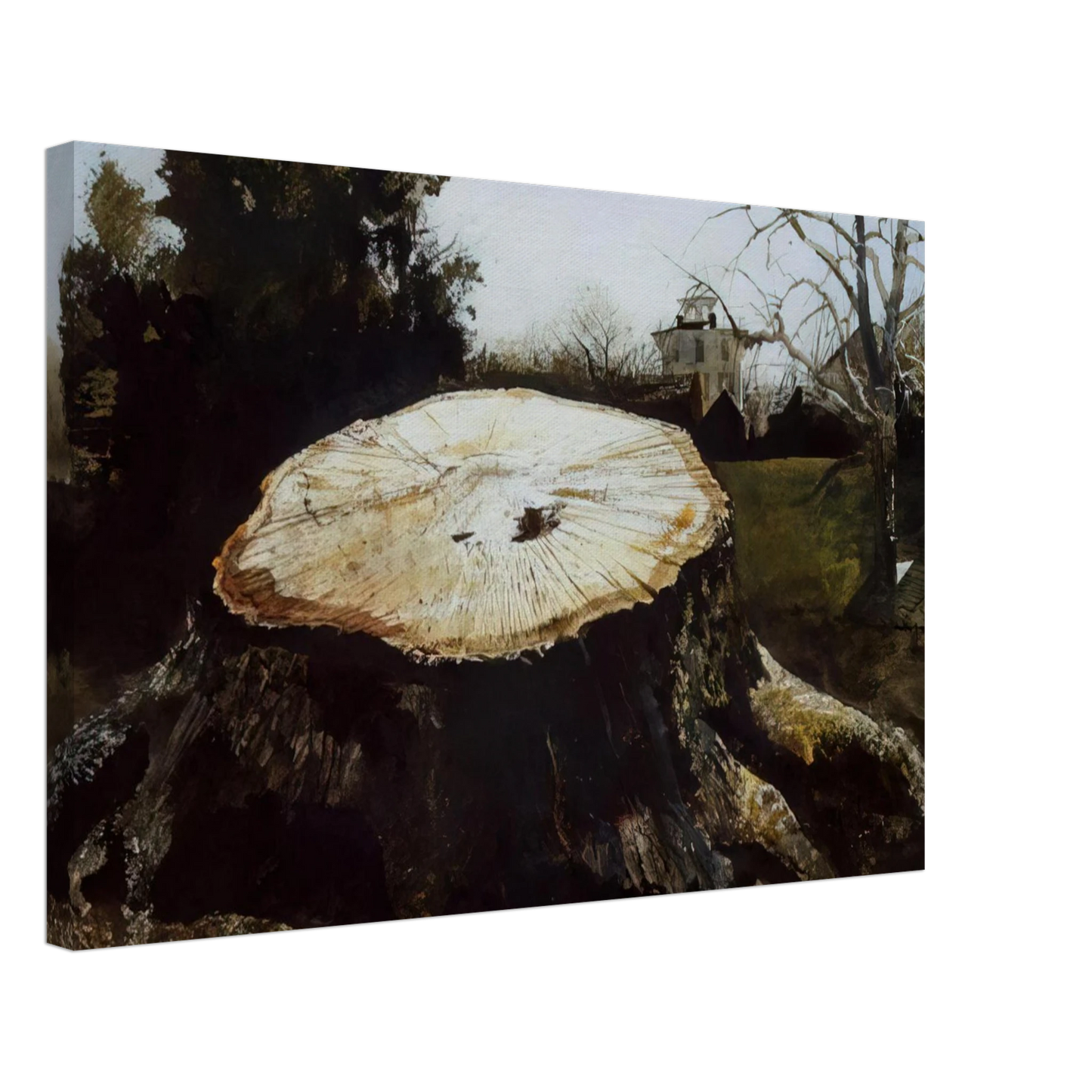 Andrew Wyeth - THE BIG OAK Canvas - 70x100 cm / 28x40 inches-canvas