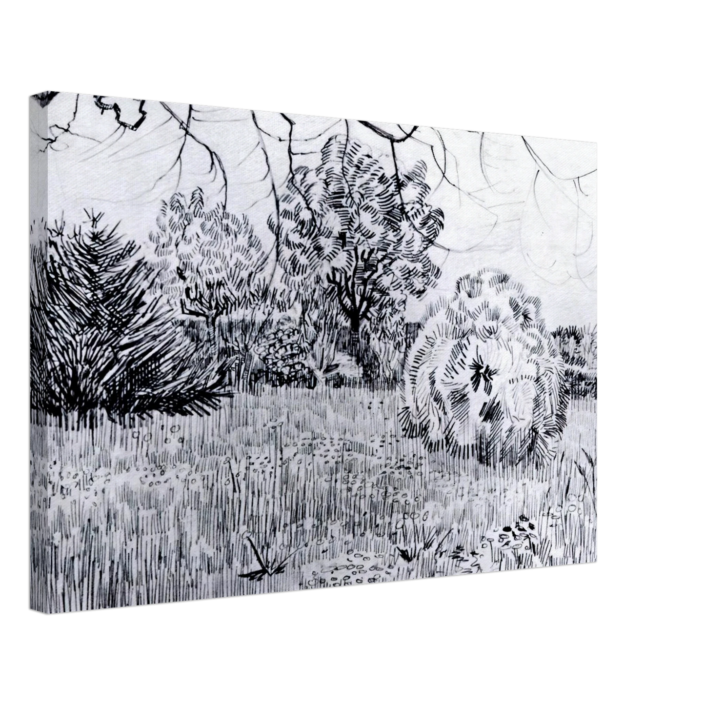 Vincent van Gogh - Park at Arles Canvas - 70x100 cm / 28x40 inches-canvas