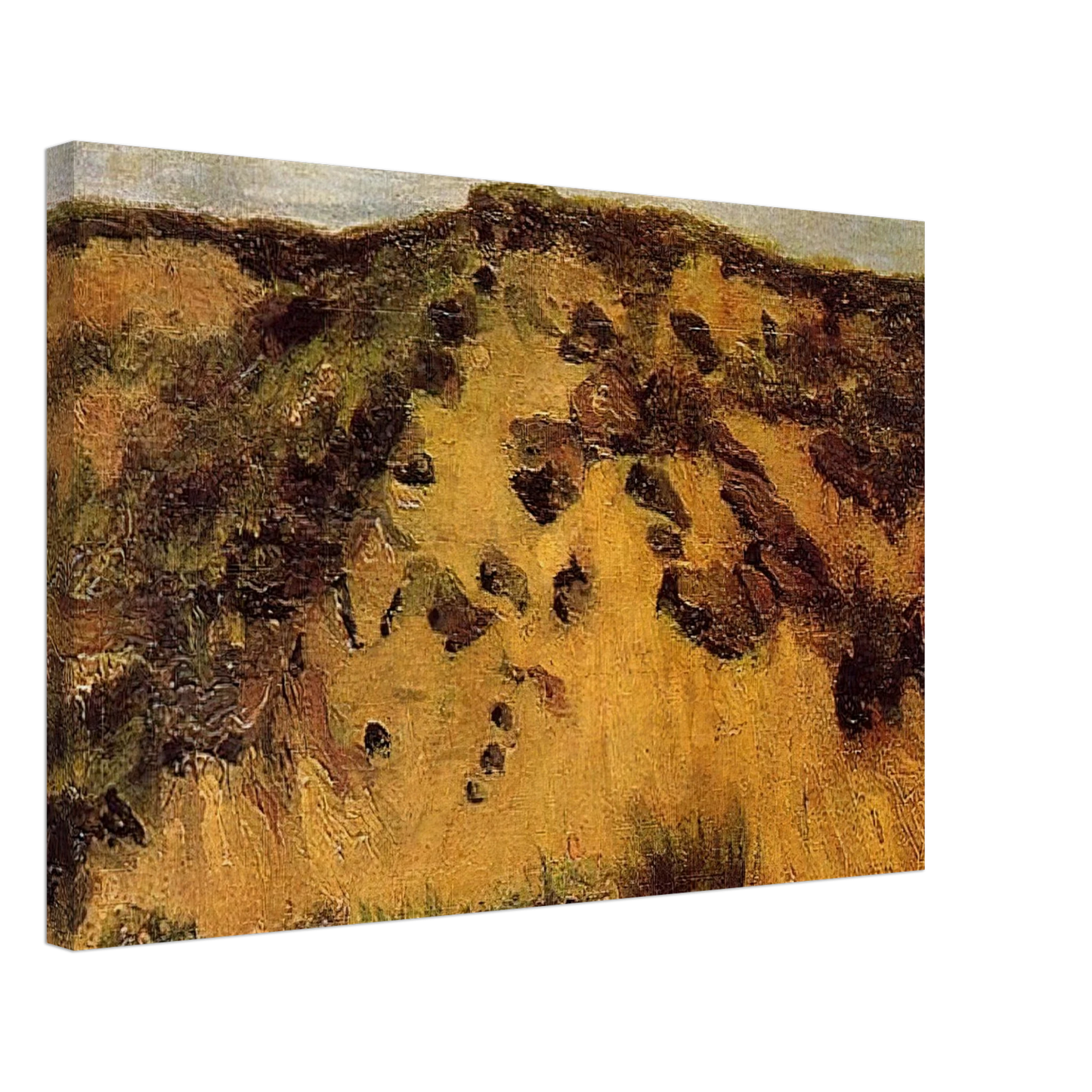 Vincent van Gogh - Dunes Canvas - 70x100 cm / 28x40 inches-canvas