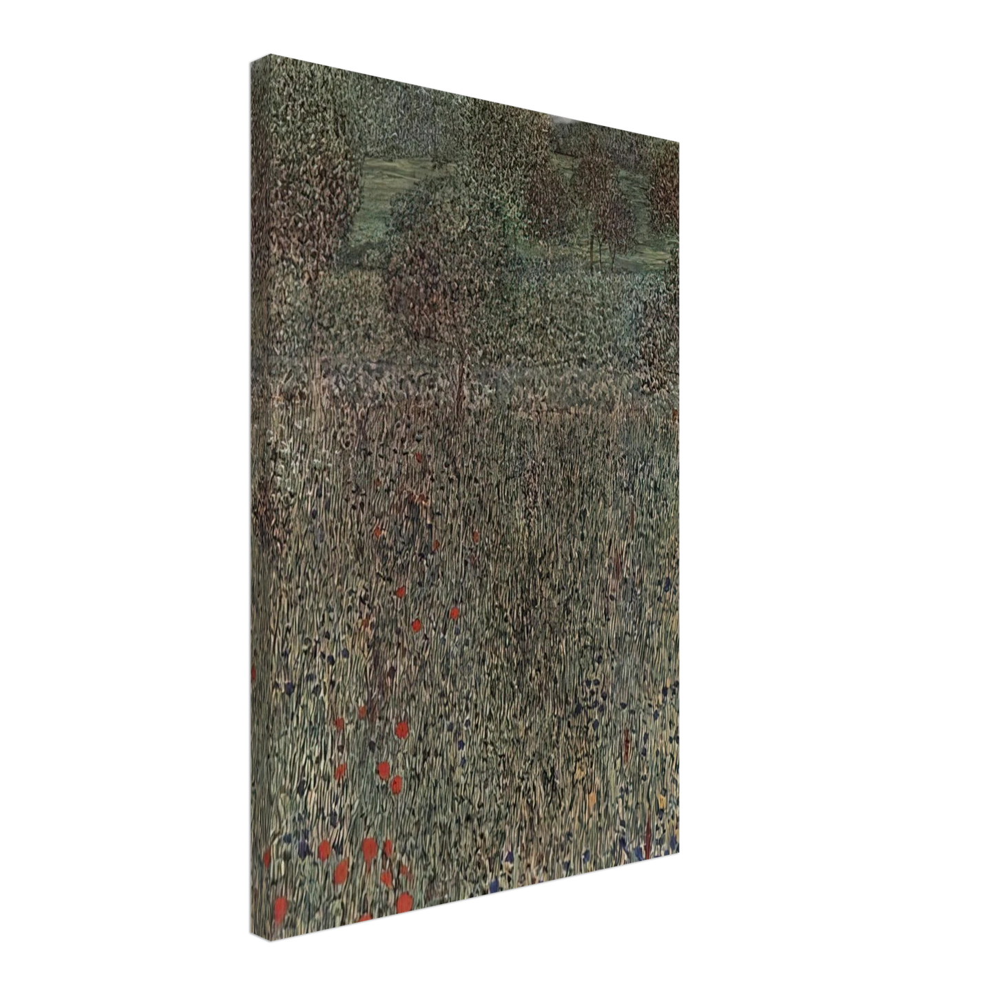 Gustav Klimt - BLOOMING FIELD Canvas - 40x60 cm / 16x24 inches-canvas