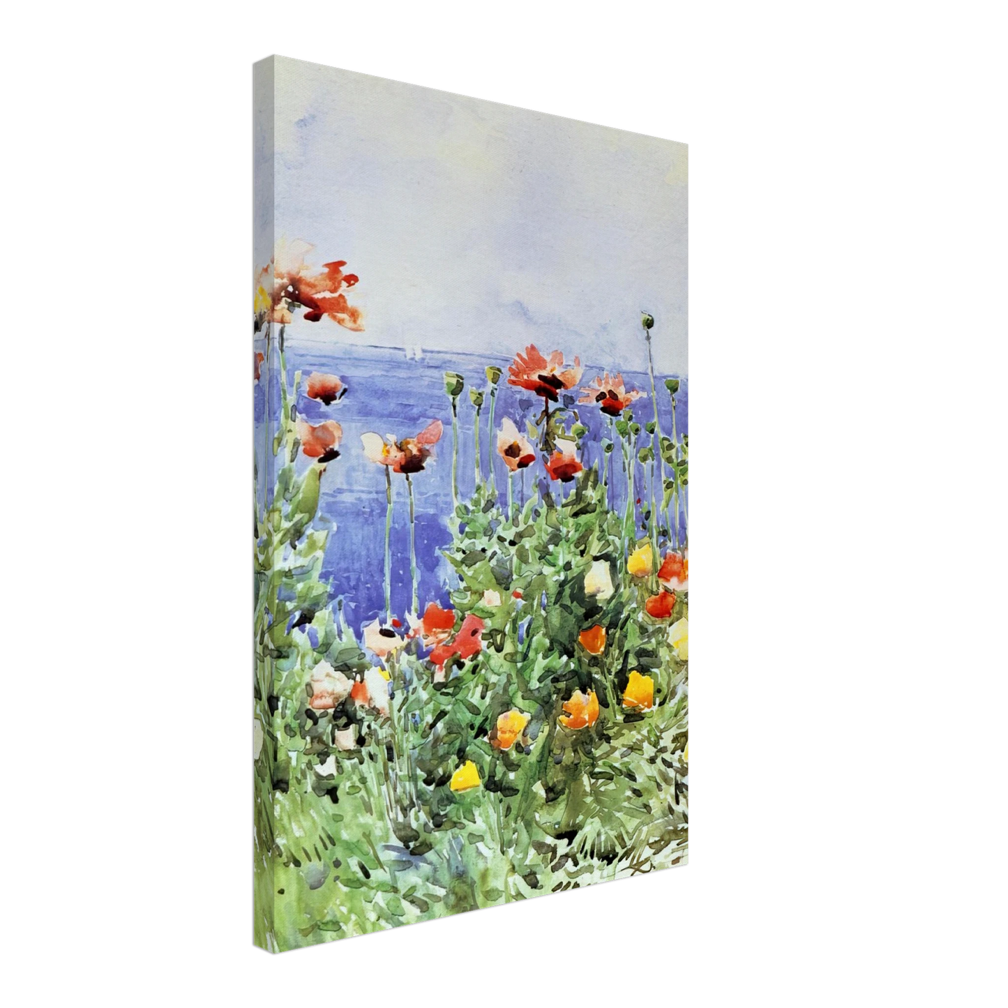 Childe Hassam - Poppies, Isles of Shoals 02 Canvas - 40x60 cm / 16x24 inches-canvas