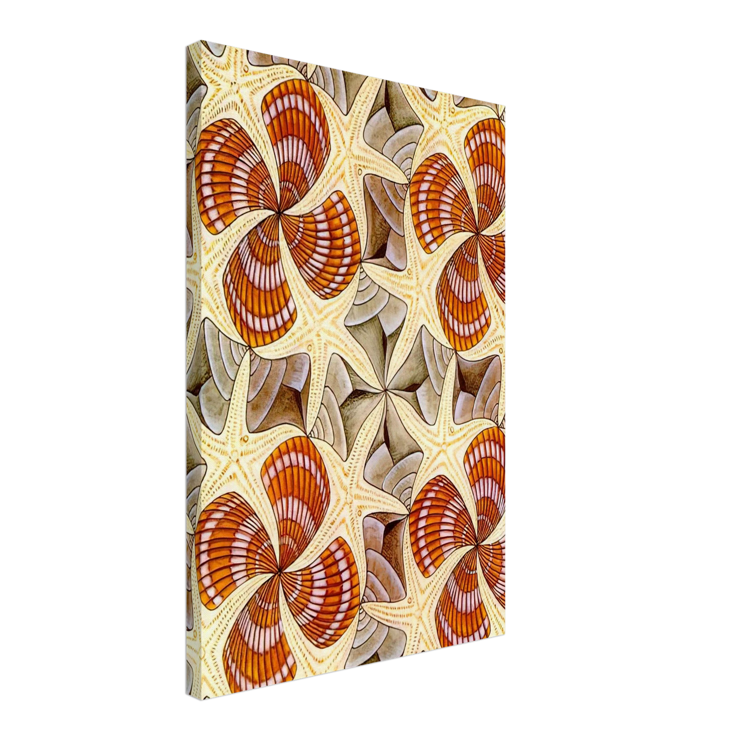 MC Escher - SHELLS AND STARFISH Canvas - 40x60 cm / 16x24 inches-canvas