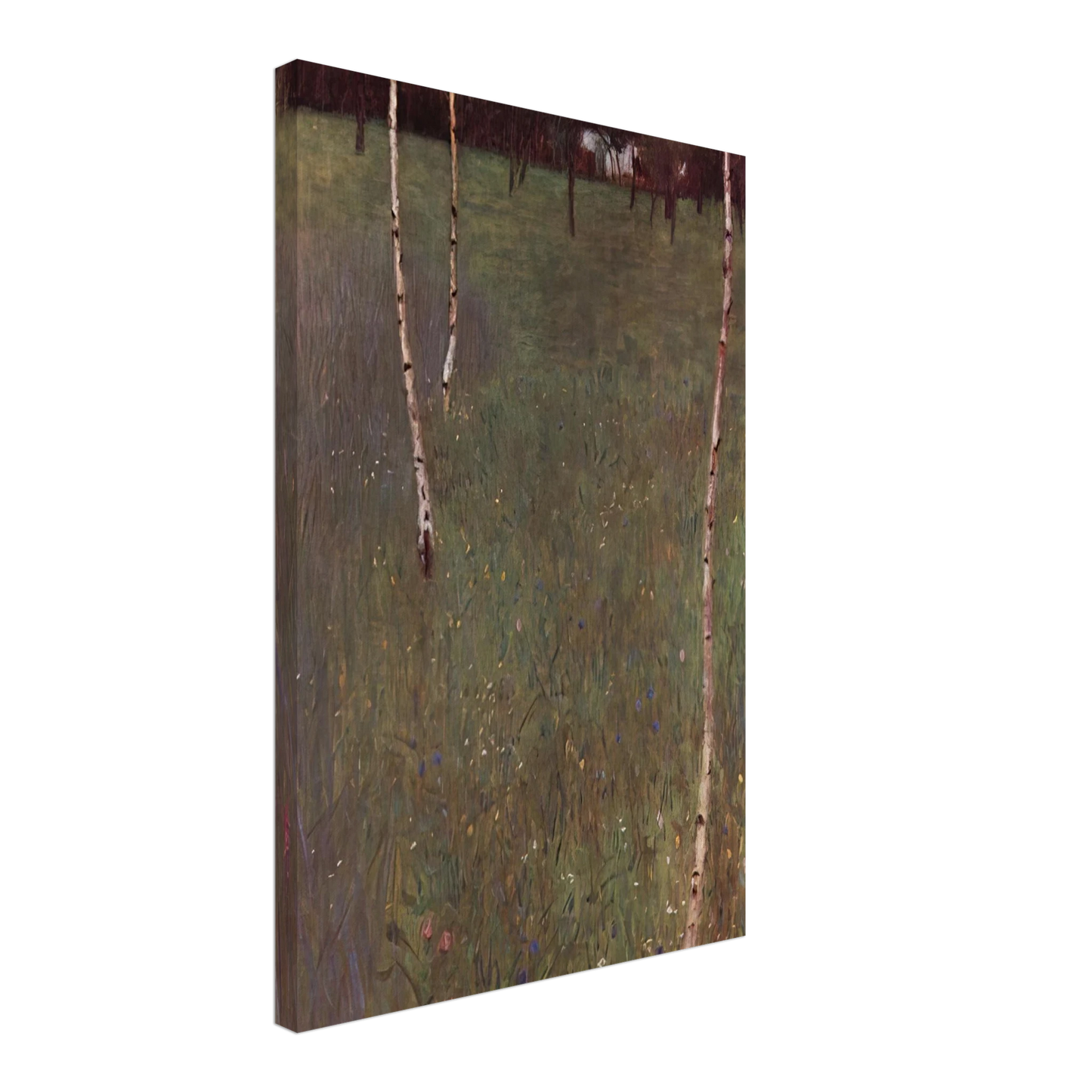 Gustav Klimt - FARMHOUSES WITH BIRCH TREES Canvas - 70x100 cm / 28x40 inches-canvas