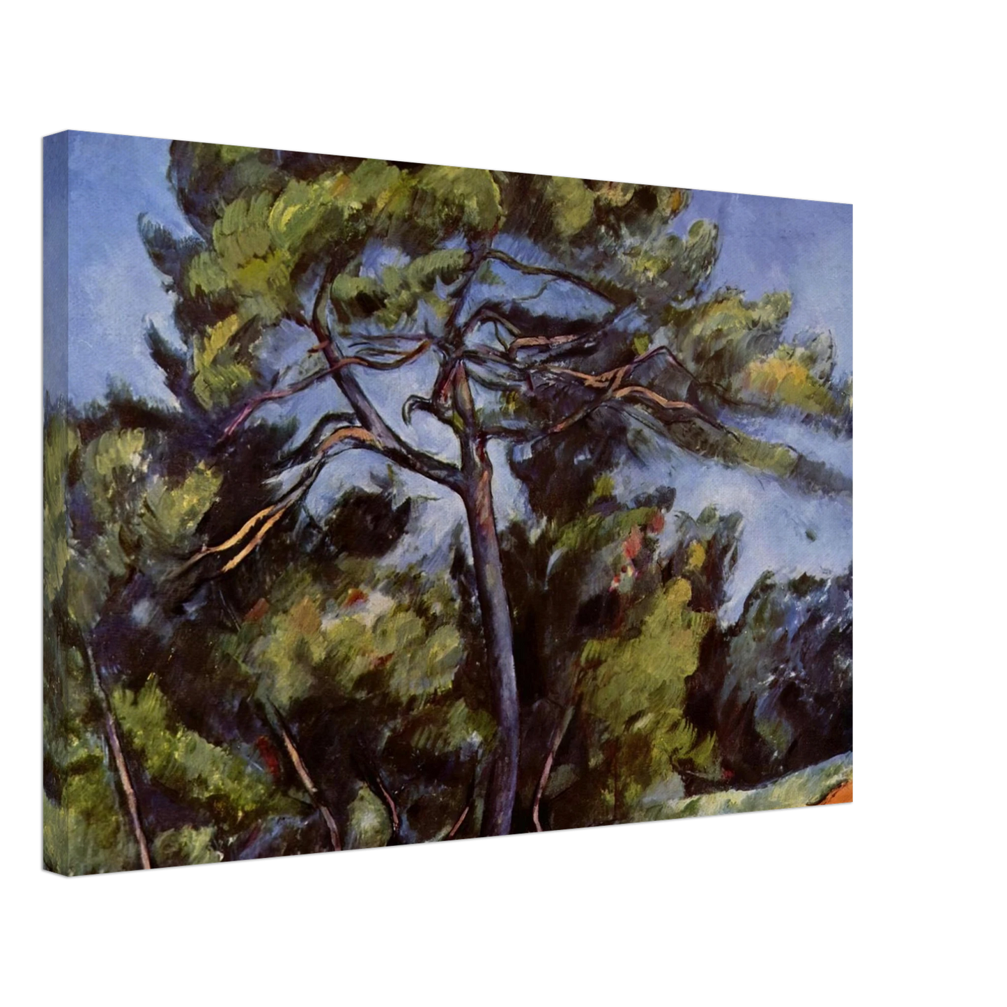 Paul Cezanne - The Great Pine Canvas - 70x100 cm / 28x40 inches-canvas