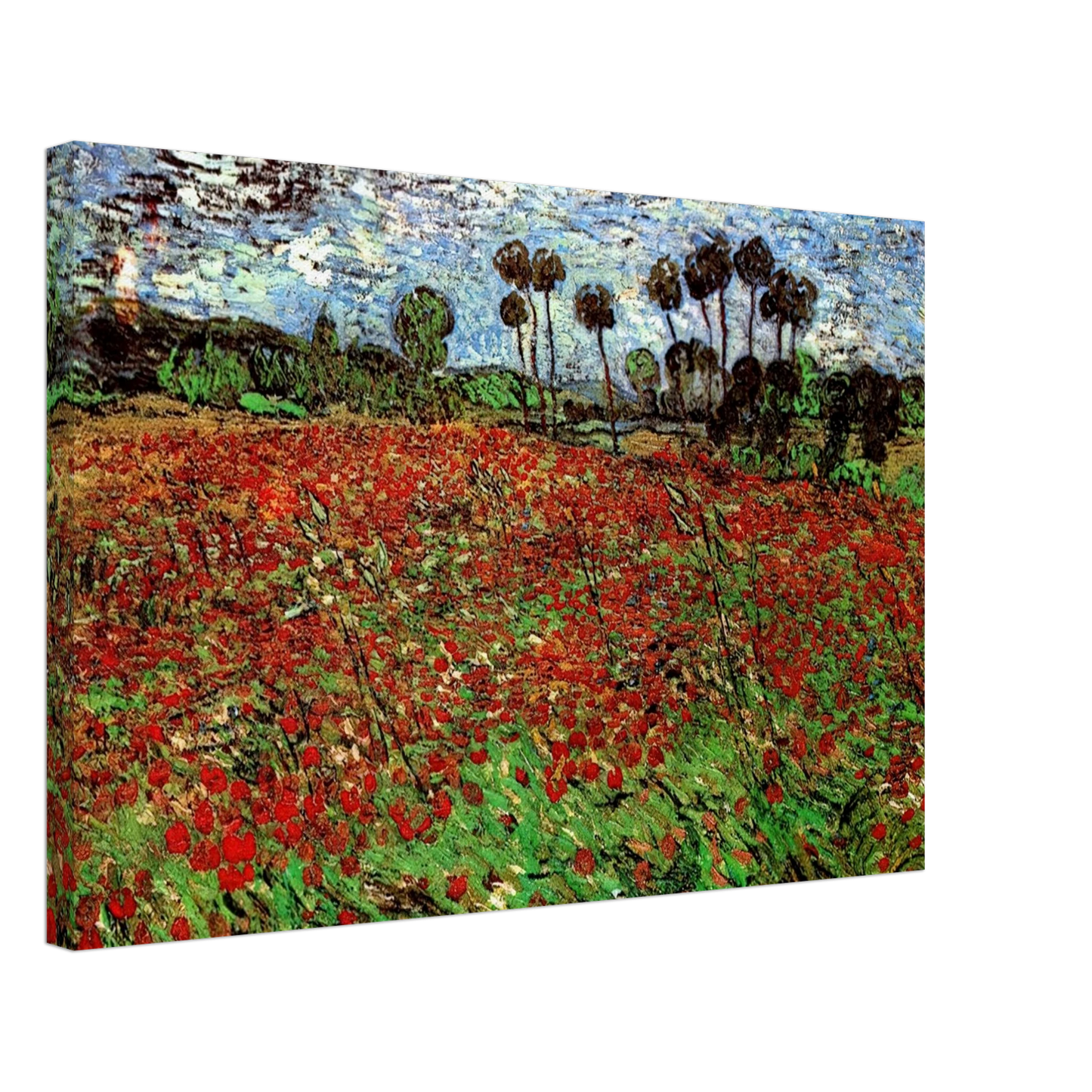 Vincent van Gogh - Field with Poppies Canvas - 70x100 cm / 28x40 inches-canvas