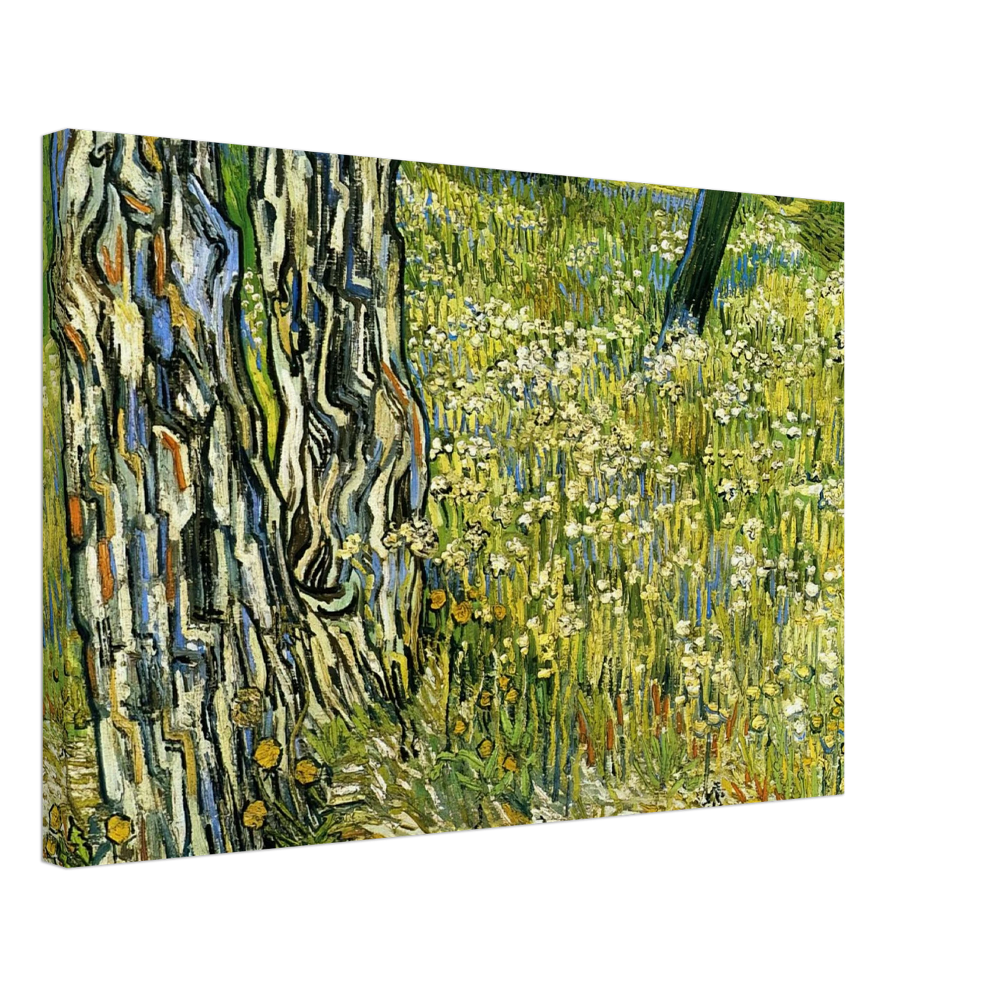 Vincent van Gogh - Tree Trunks in the Grass Canvas - 70x100 cm / 28x40 inches-canvas