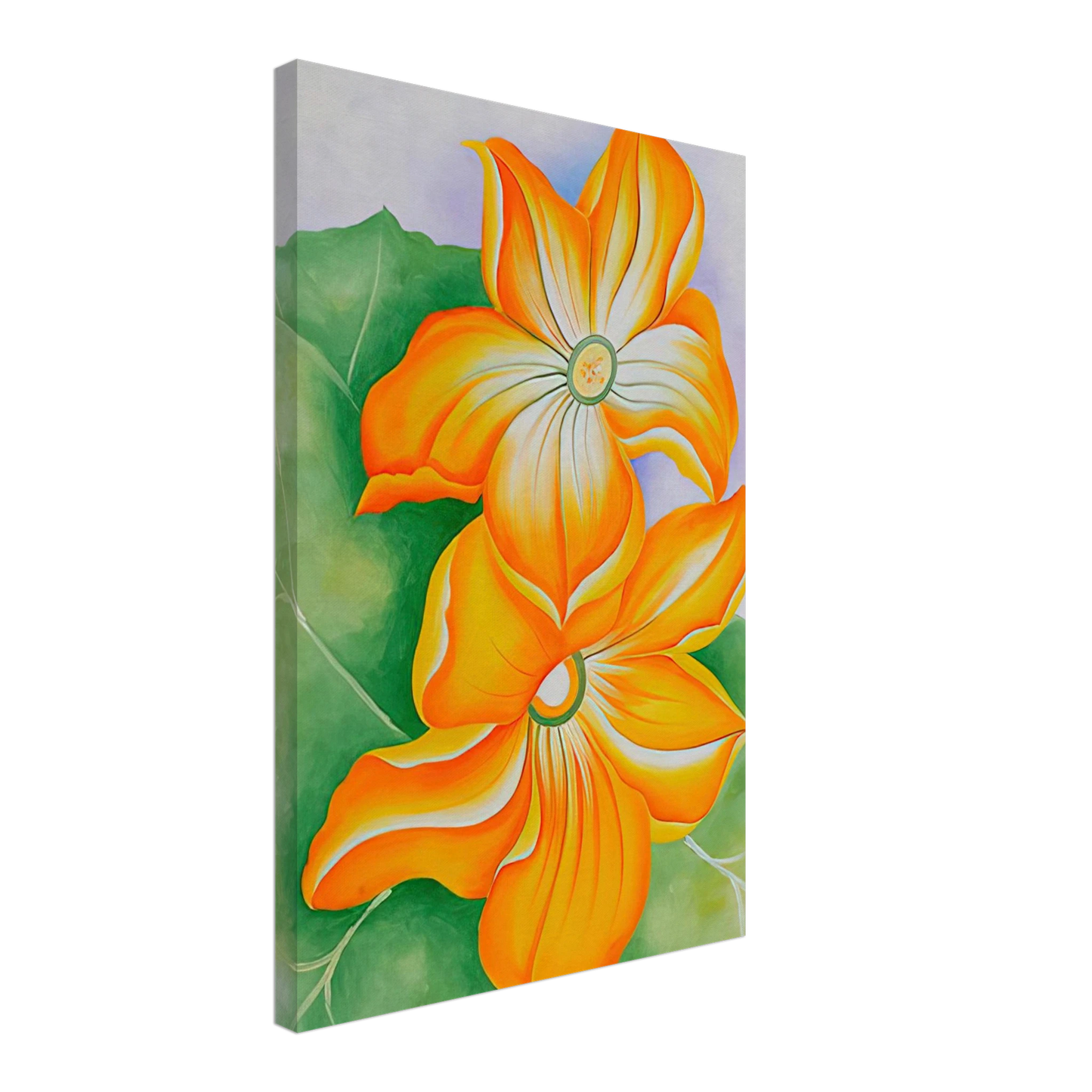 Georgia O'Keeffe - Squash Blossoms Canvas - 70x100 cm / 28x40 inches-canvas