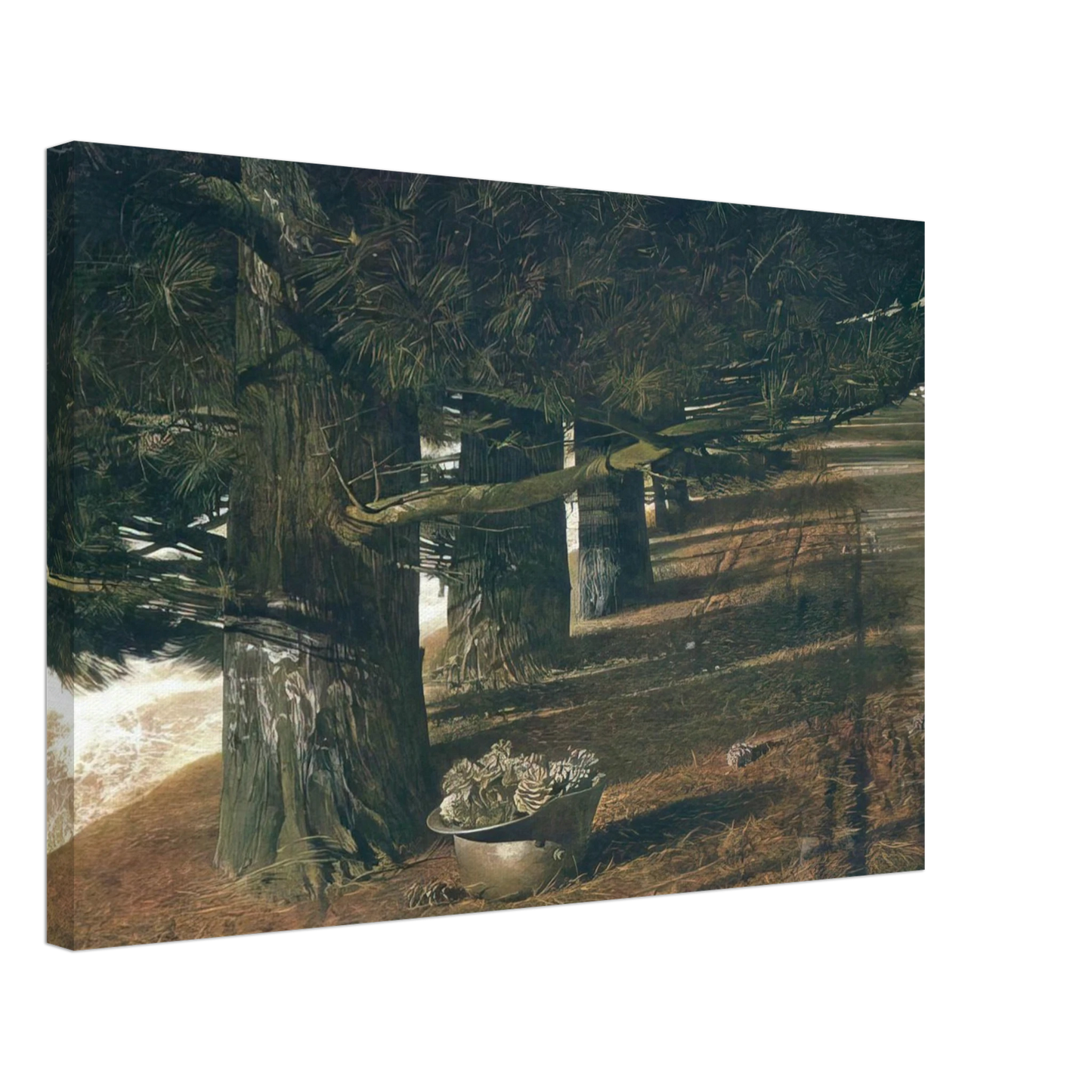 Andrew Wyeth - PINE BARON Canvas - 70x100 cm / 28x40 inches-canvas