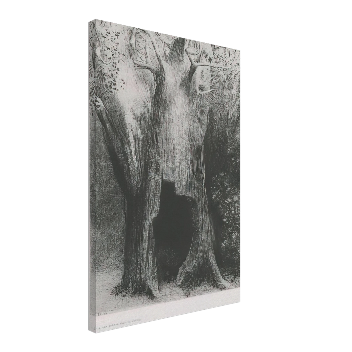 Odilon Redon - I PLUNGED INTO SOLITUDE I DWELT IN THE TREE BEHIND ME PLATE 9 1896 Canvas - 40x60 cm / 16x24 inches-canvas