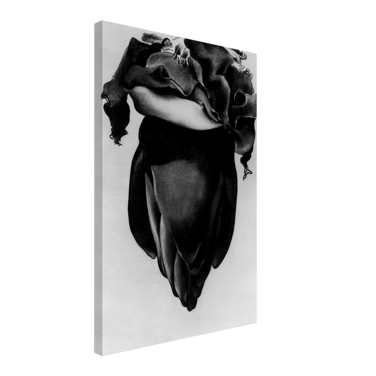 Georgia O'Keeffe - Banana Flower Canvas - 40x60 cm / 16x24 inches-canvas