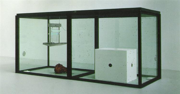 Damien Hirst Canvas Collection