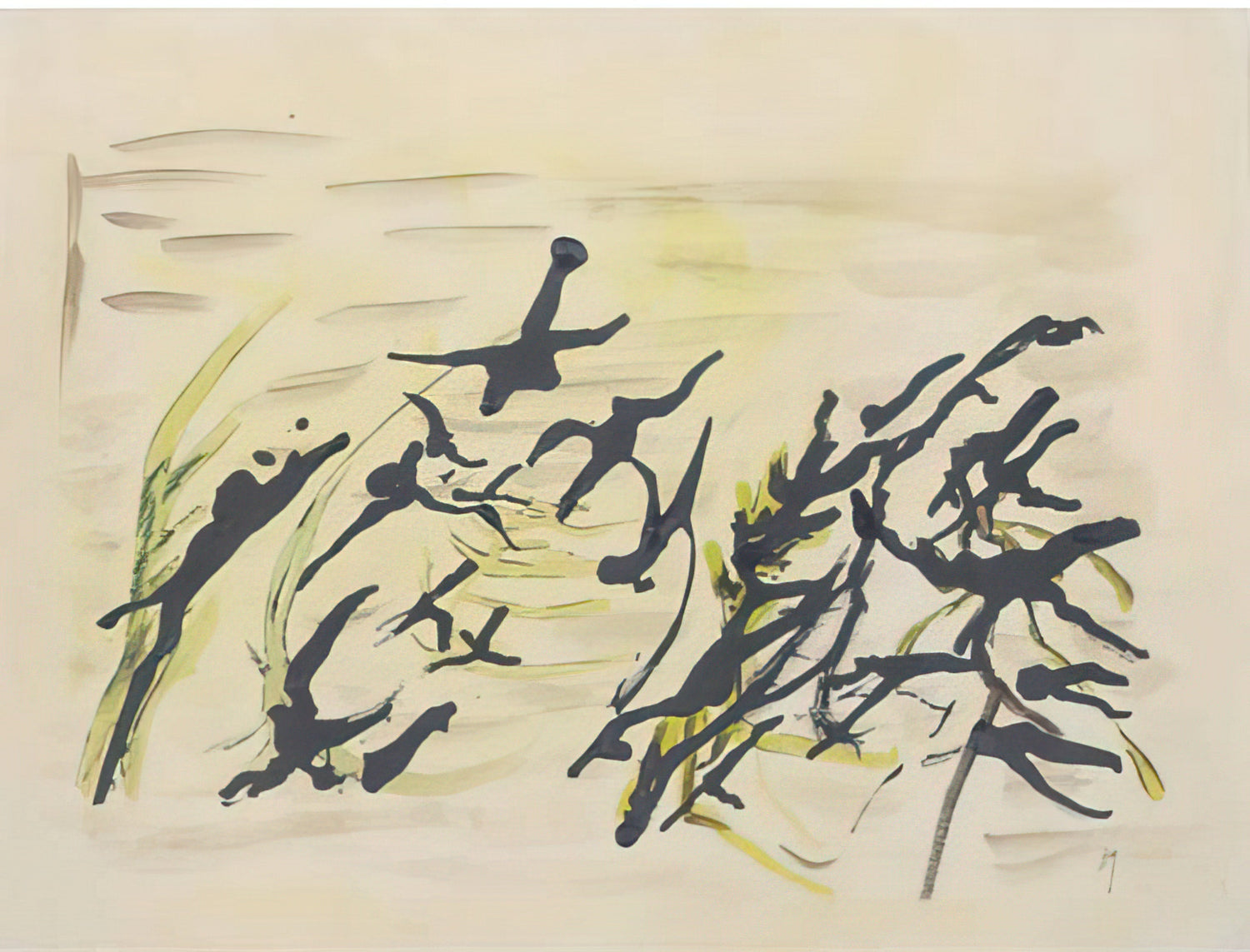 Henri Michaux Canvas Collection