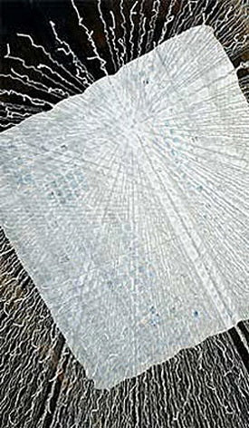 Lenore Tawney Canvas Collection