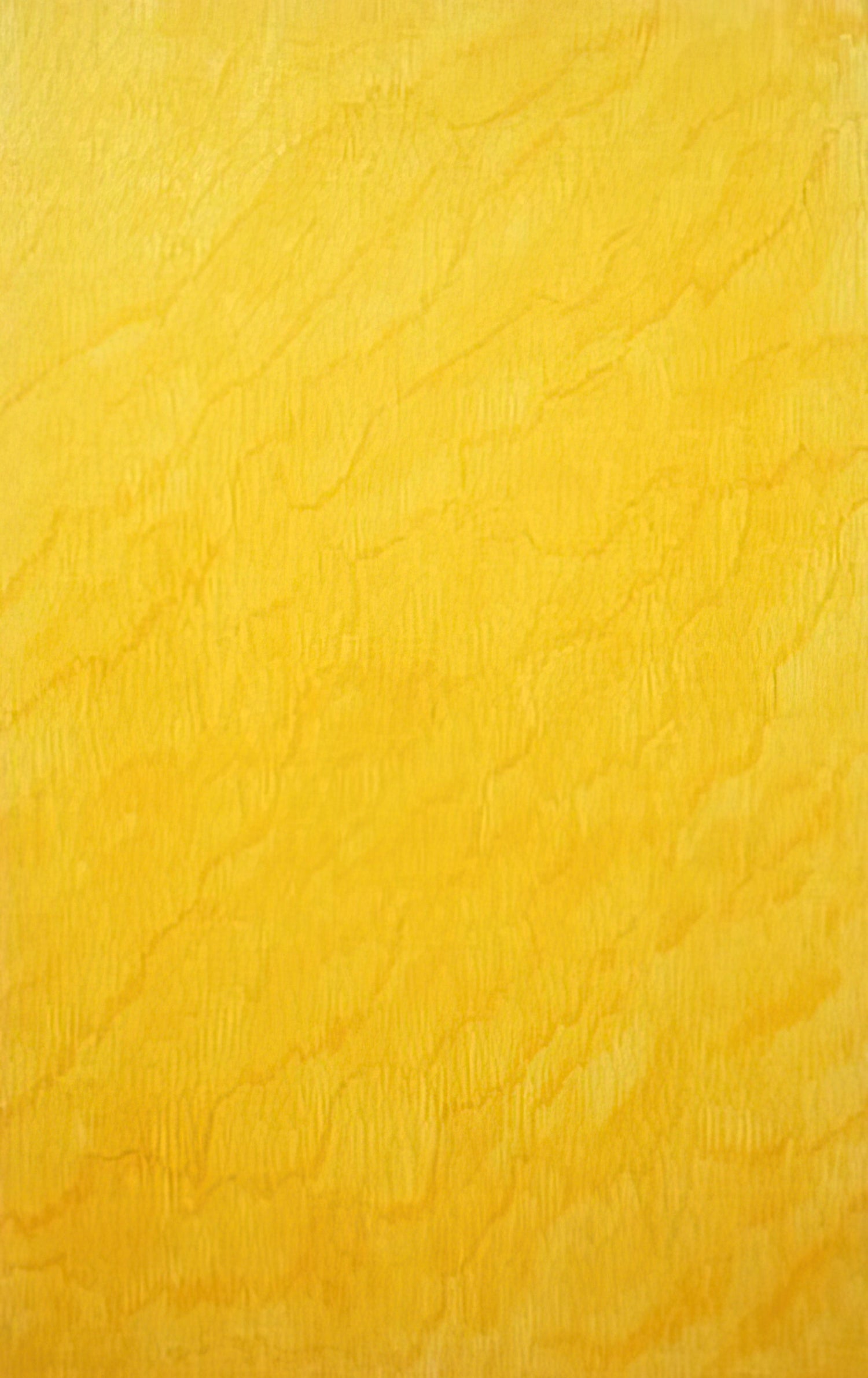 Marcia Hafif Canvas Collection