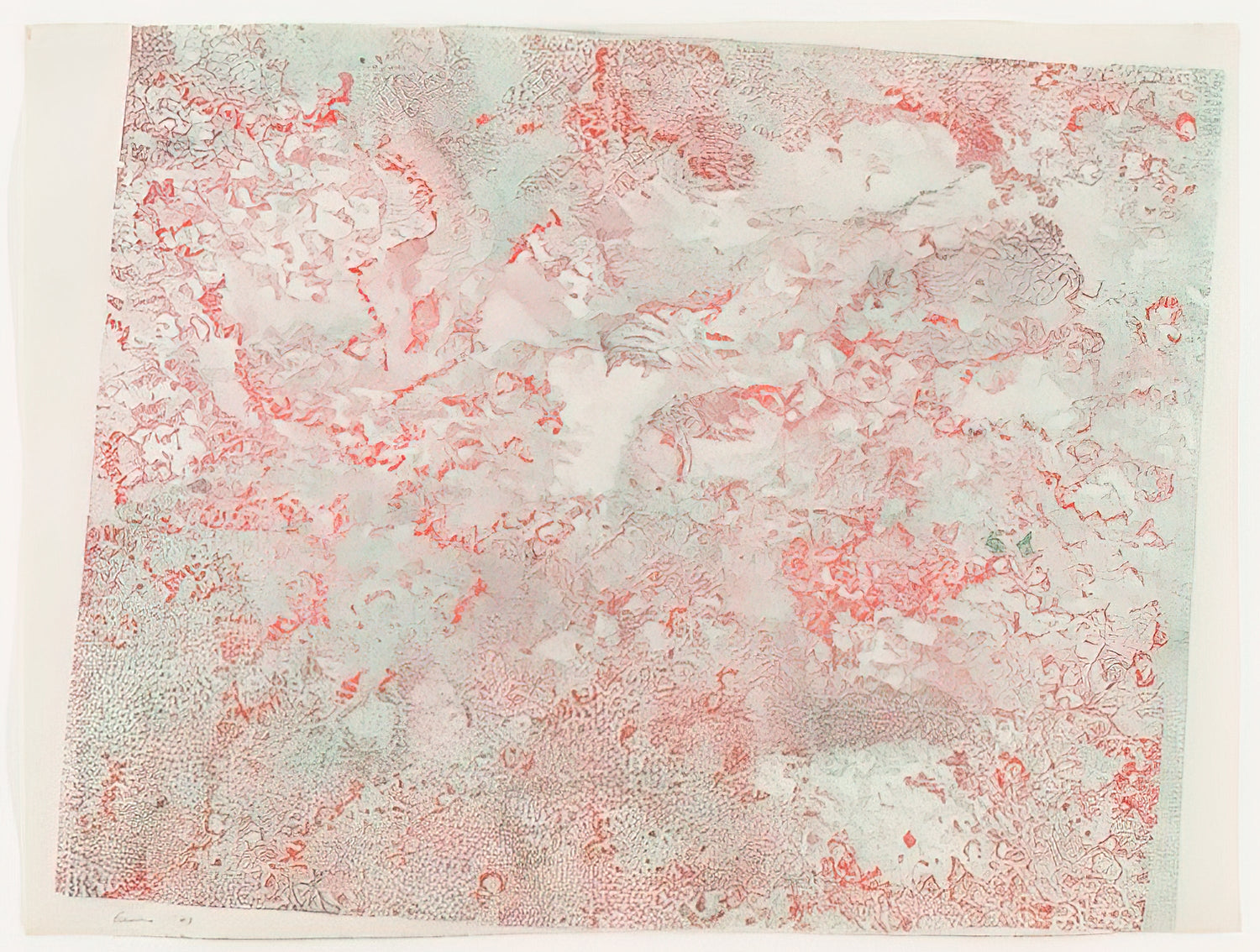 Nancy Graves Canvas Collection