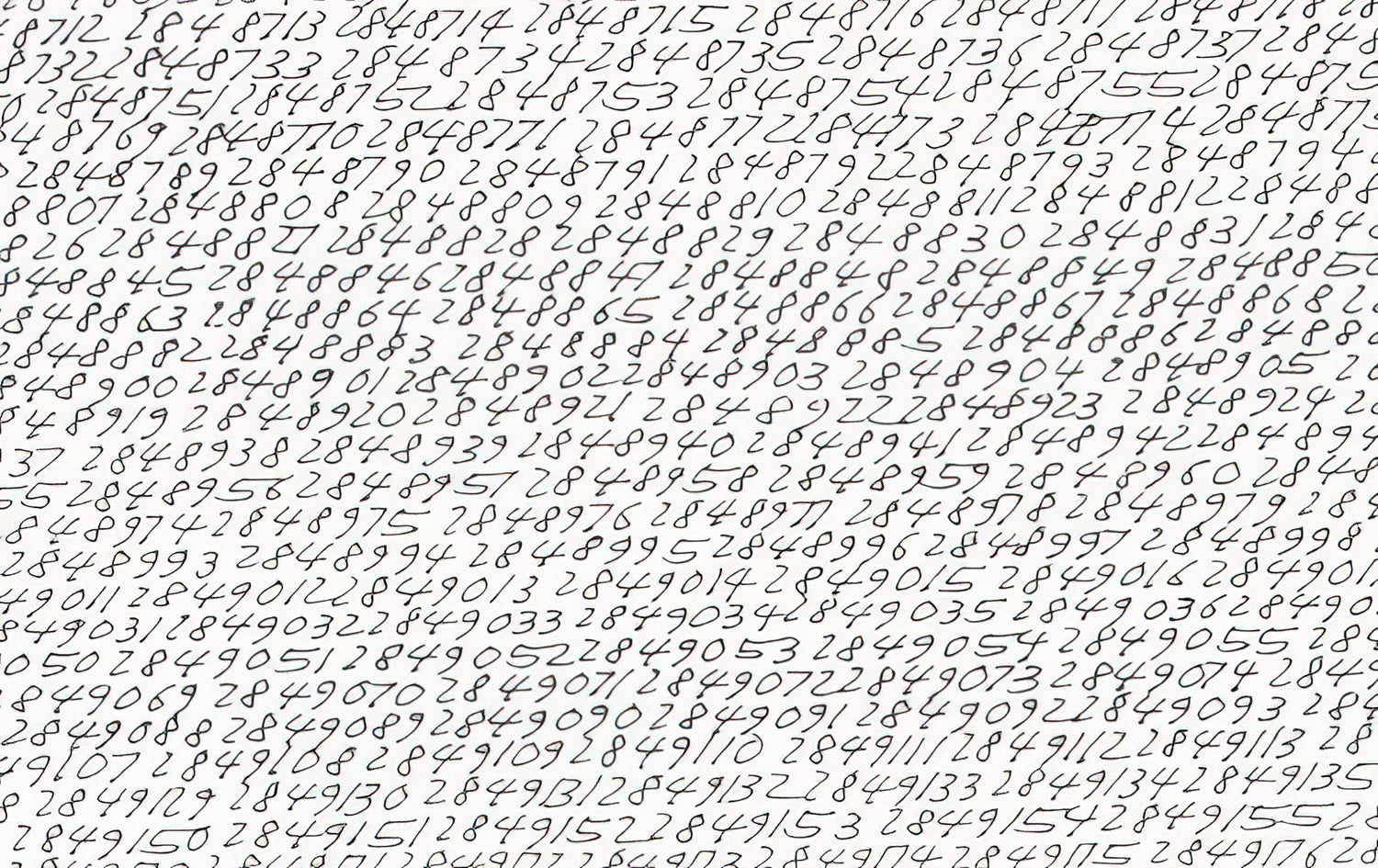 Roman Opalka Canvas Collection