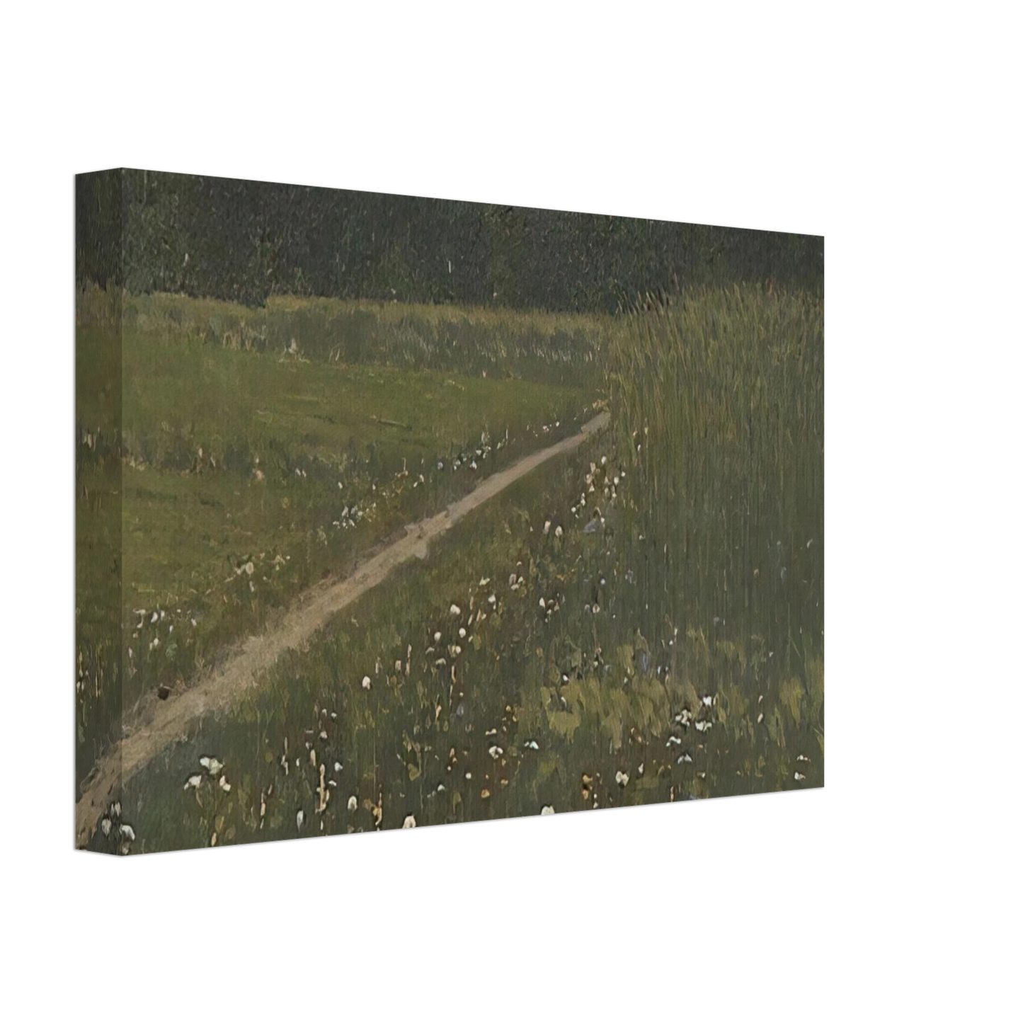 Arkhyp Kuindzhi - Forest Glade Canvas - 70x100 cm / 28x40 inches-canvas