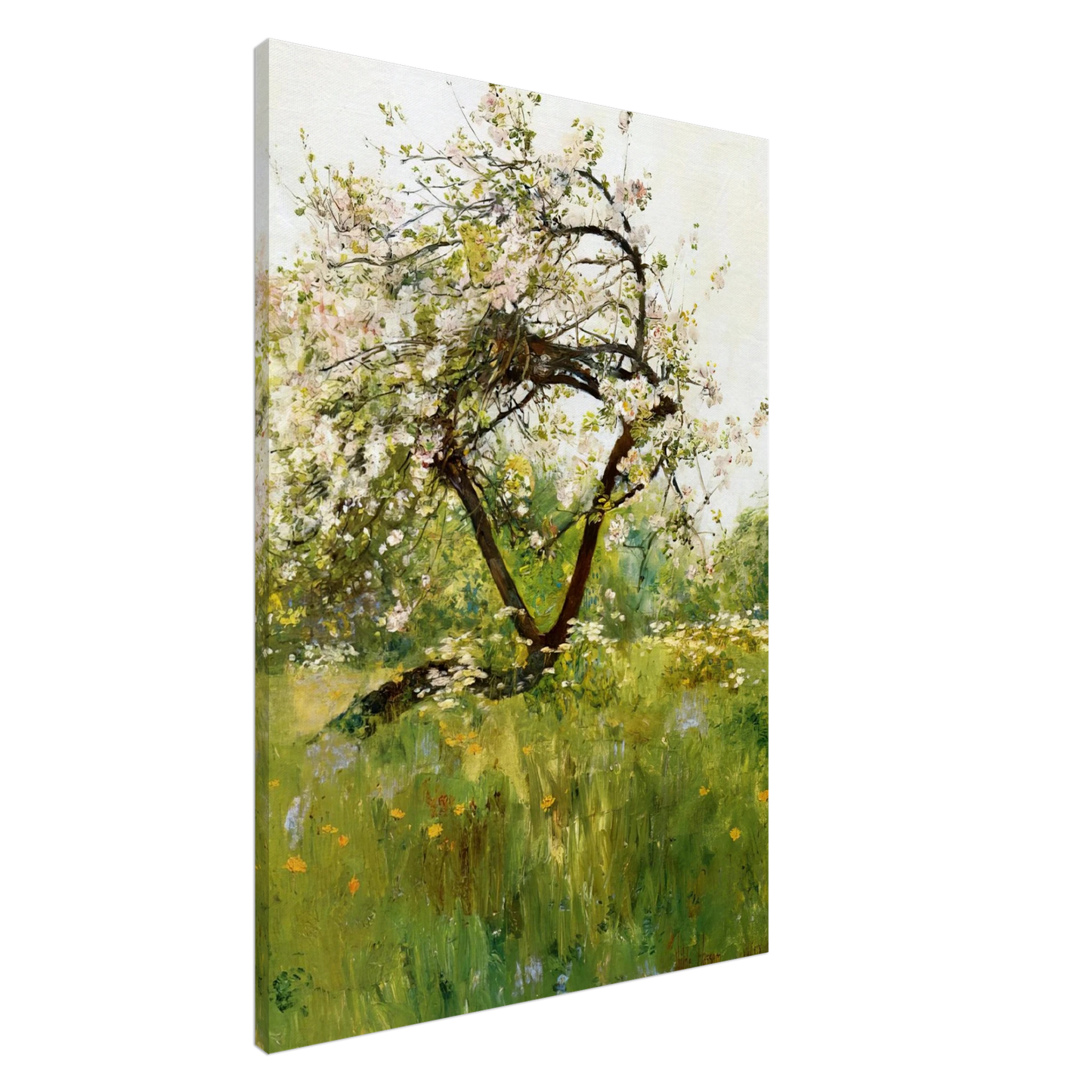 Childe Hassam - Peach Blossoms - Villiers-le-Bel Canvas - 20x30 cm / 8x12 inches-canvas