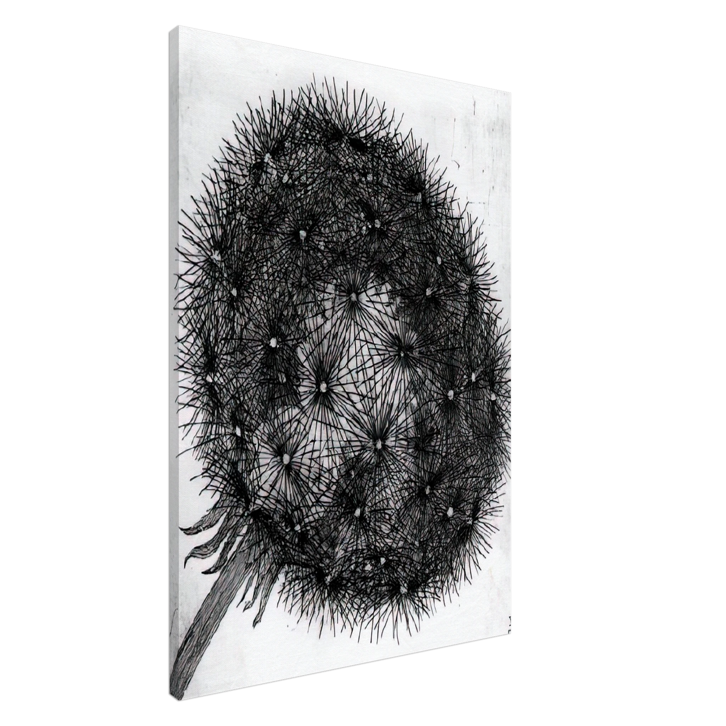 MC Escher - BLOWBALL I Canvas - 20x30 cm / 8x12 inches-canvas