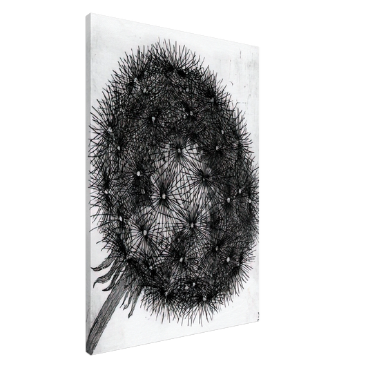 MC Escher - BLOWBALL I Canvas - 20x30 cm / 8x12 inches-canvas