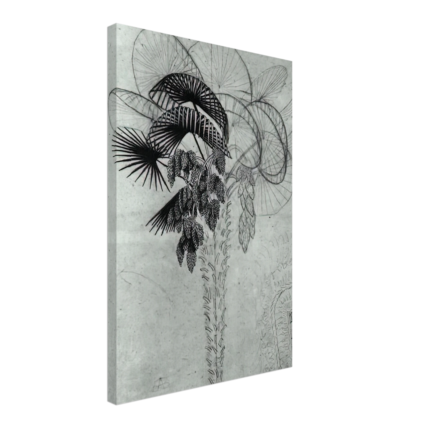MC Escher - PALM TREE SKETCH Canvas - 70x100 cm / 28x40 inches-canvas