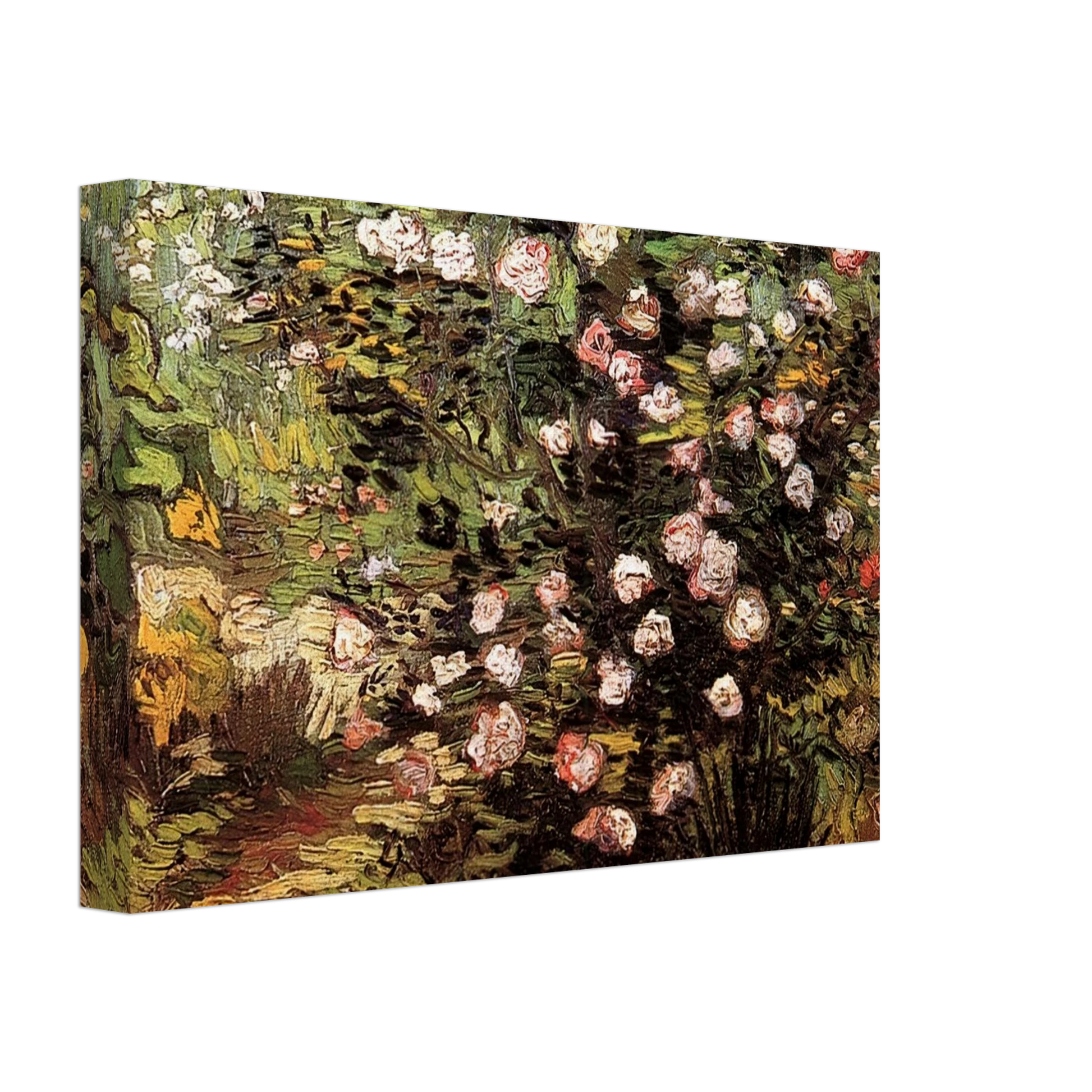 Vincent van Gogh - Rosebush in Blossom Canvas - 40x60 cm / 16x24 inches-canvas