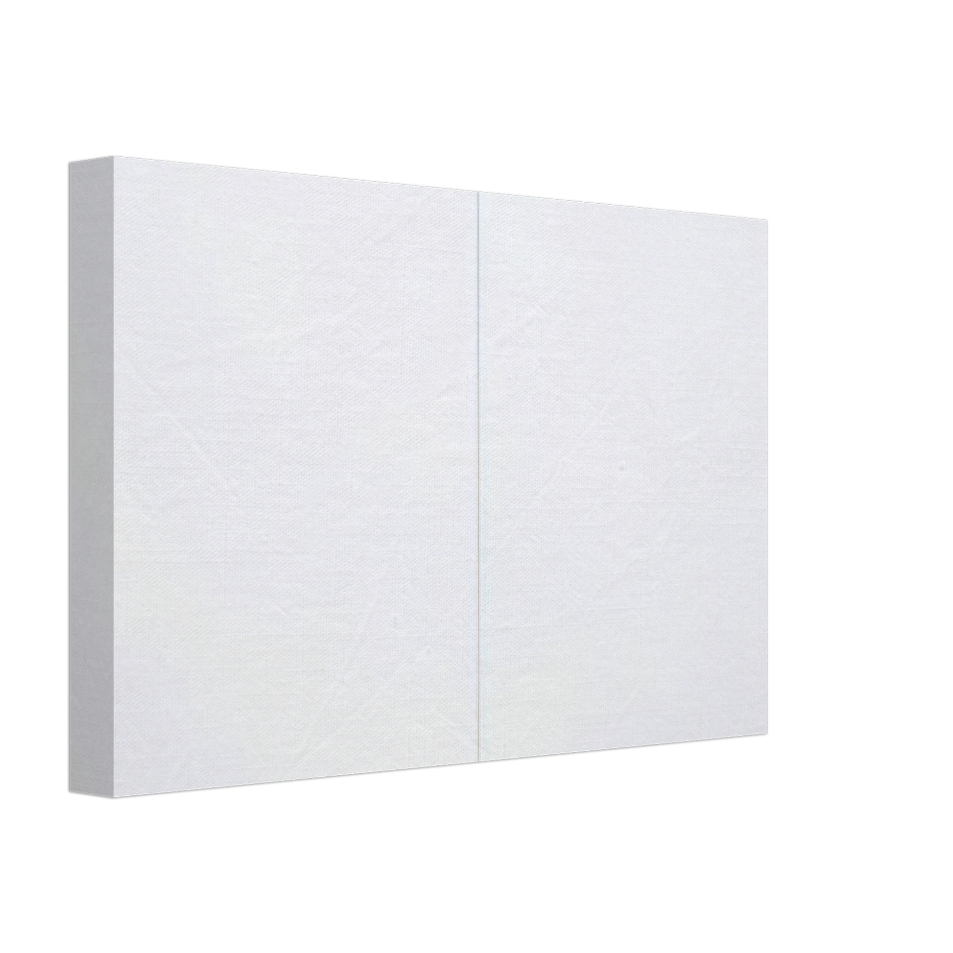 Robert Rauschenberg - WHITE PAINTING TWO PANEL 1951 Canvas - 40x60 cm / 16x24 inches-canvas